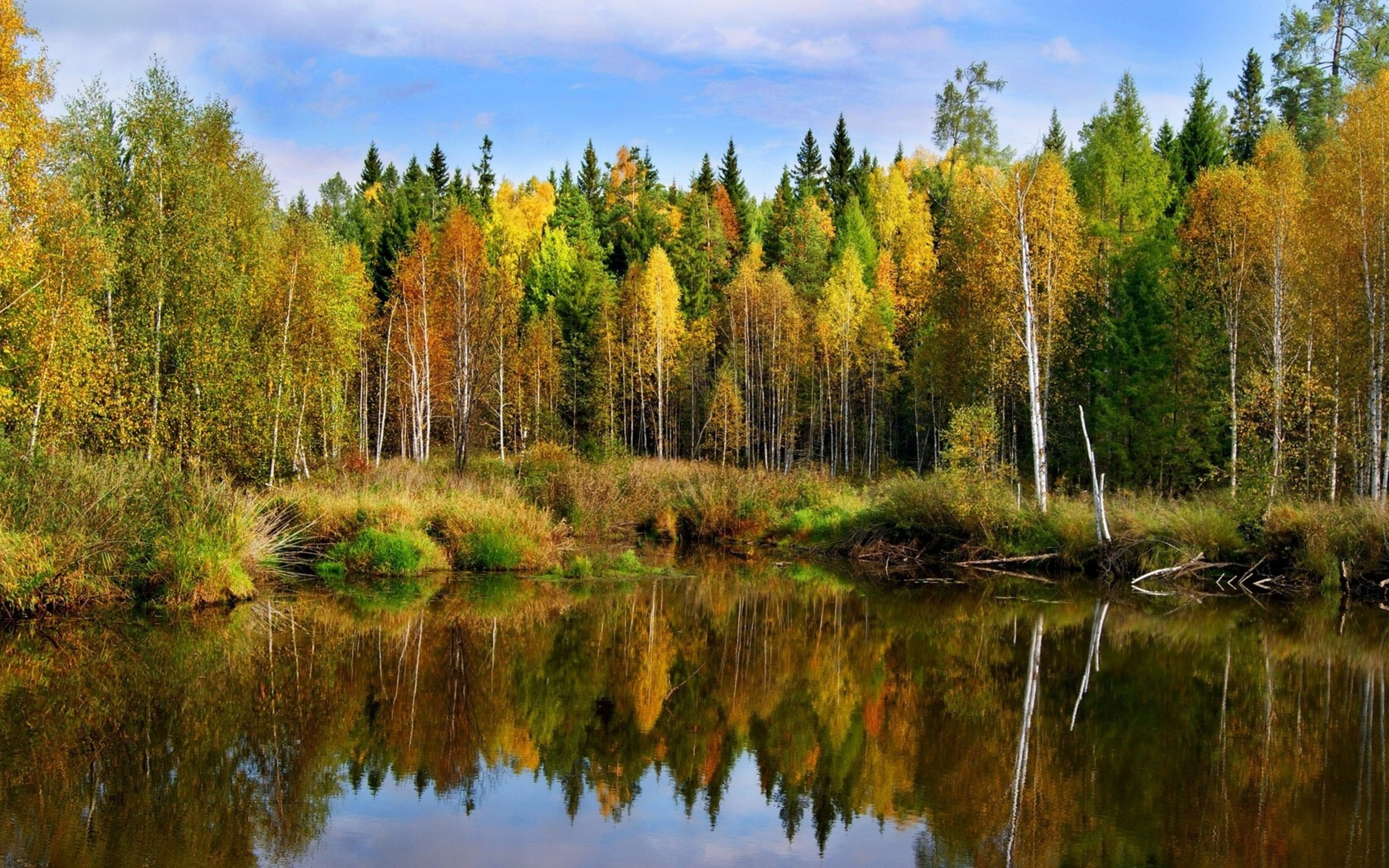 Осенние пейзажи вдоль реки загрузить