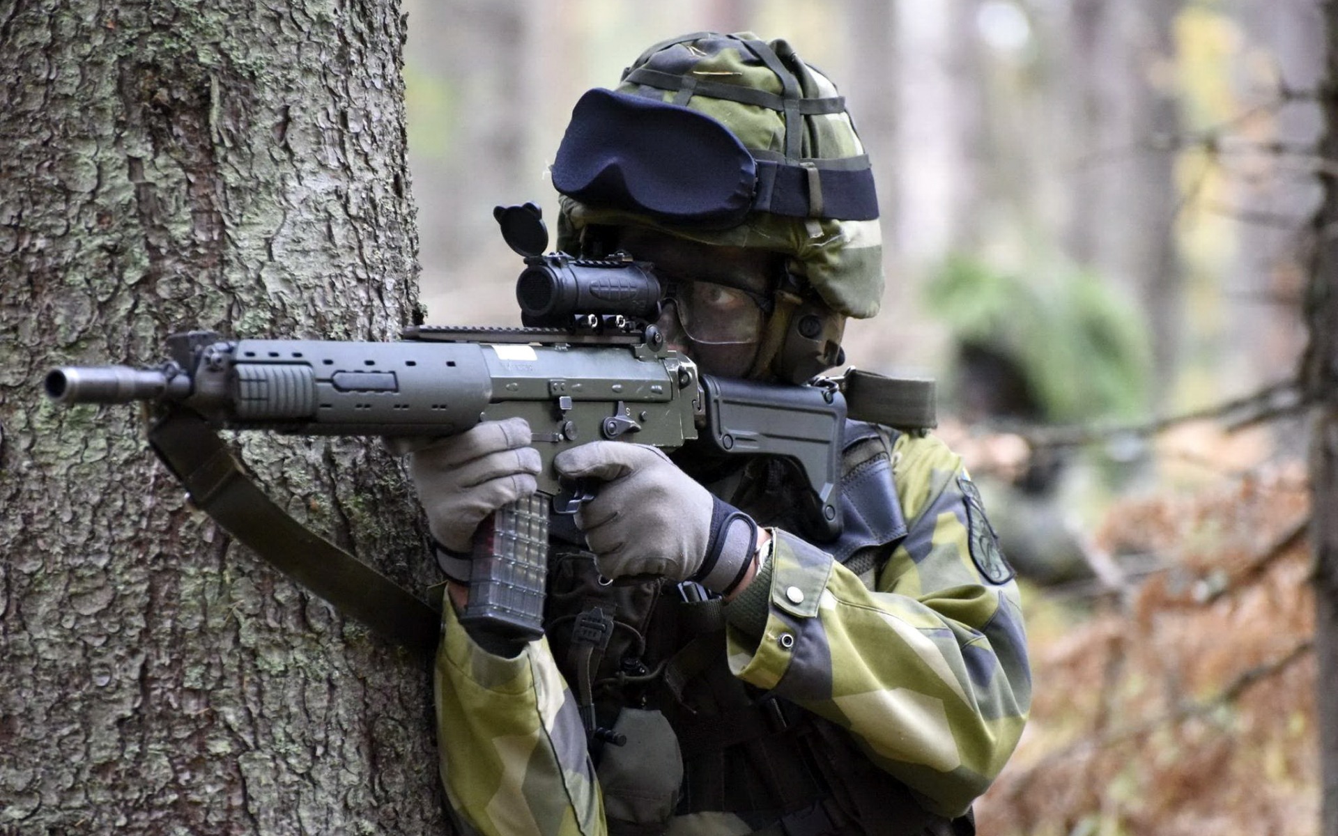 шведские, военные