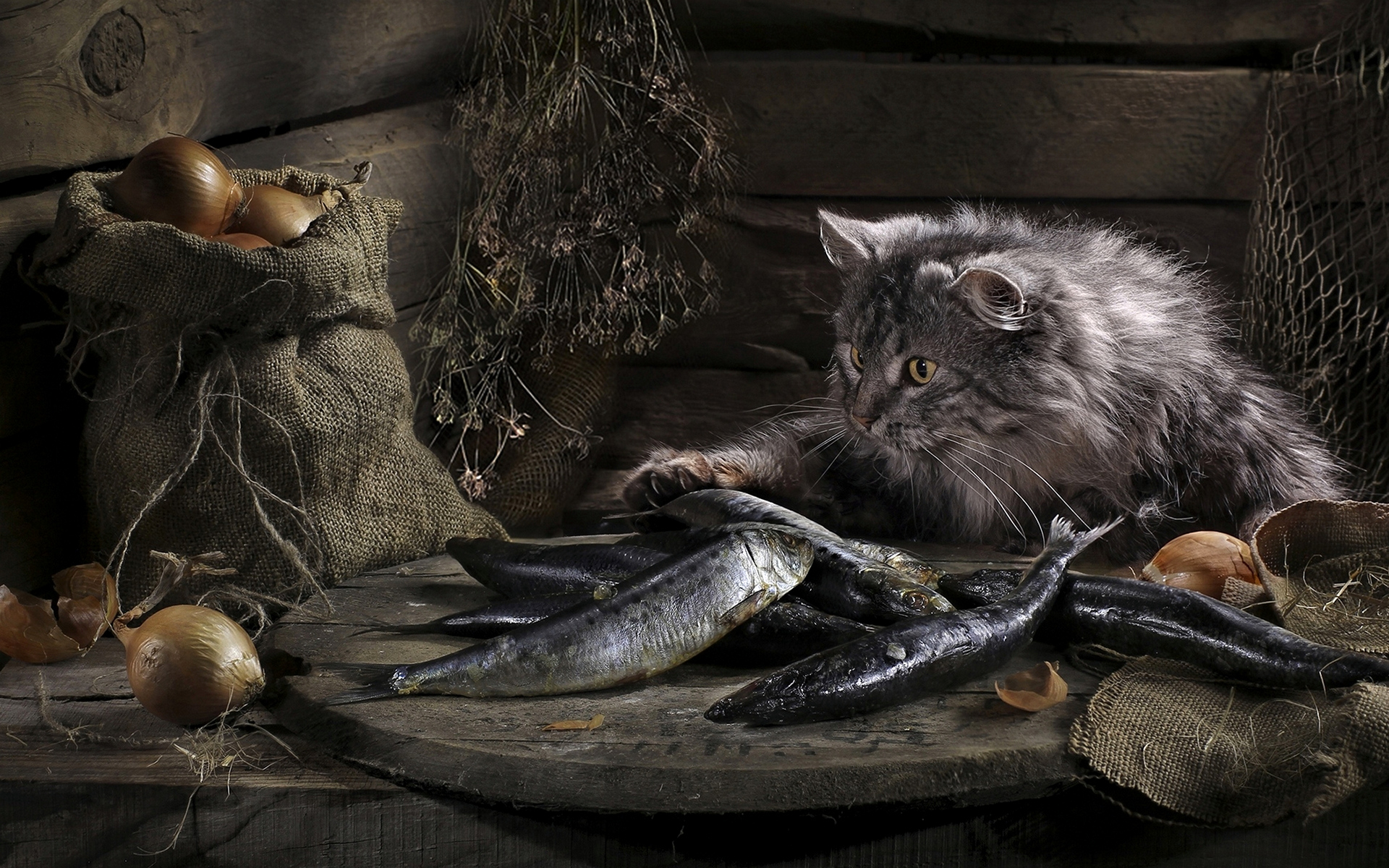 рыбы, удачи