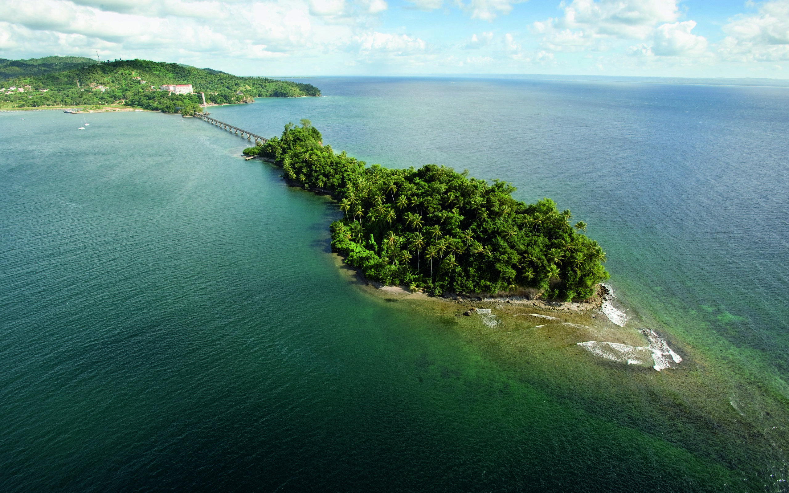 морское море, пальма