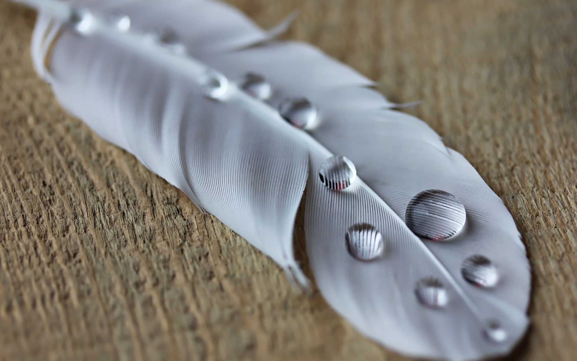 перо, country, drop