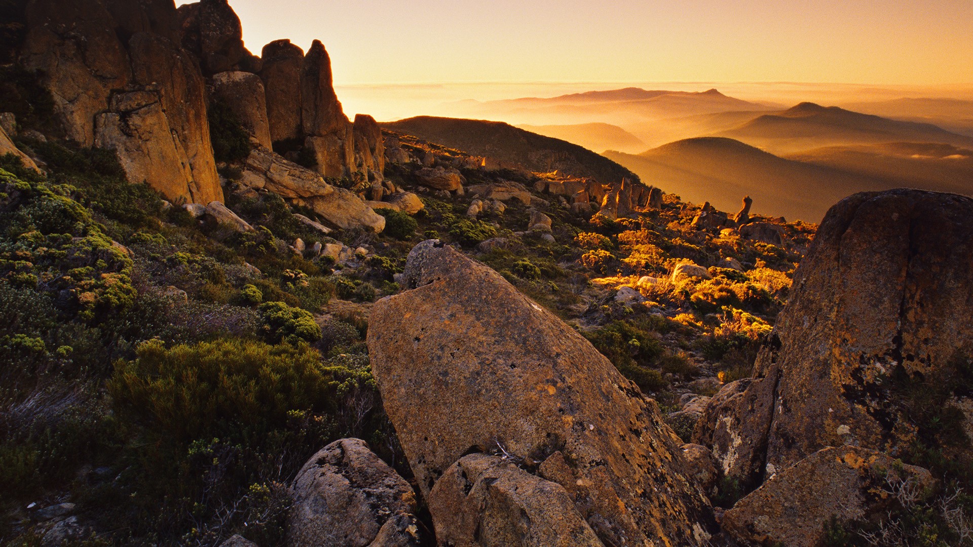 wellington, tasmania, заклич