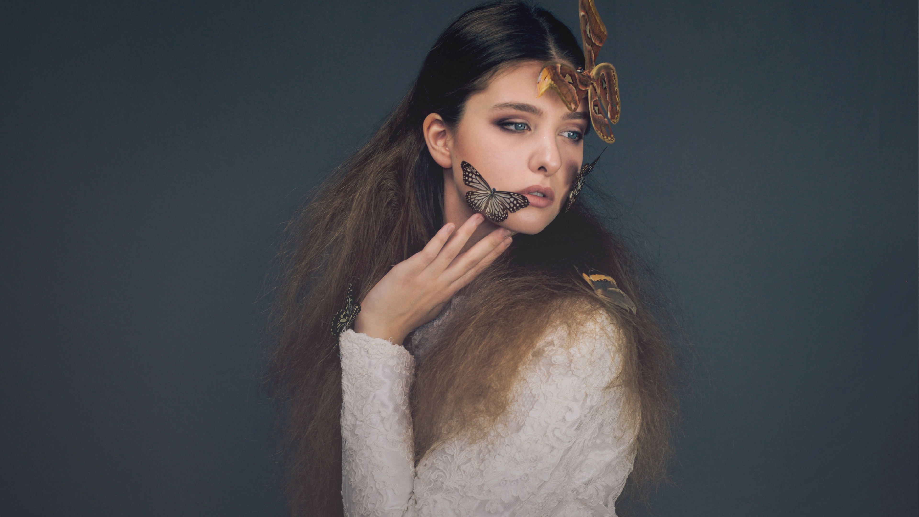 fundal, fluturi, imagini