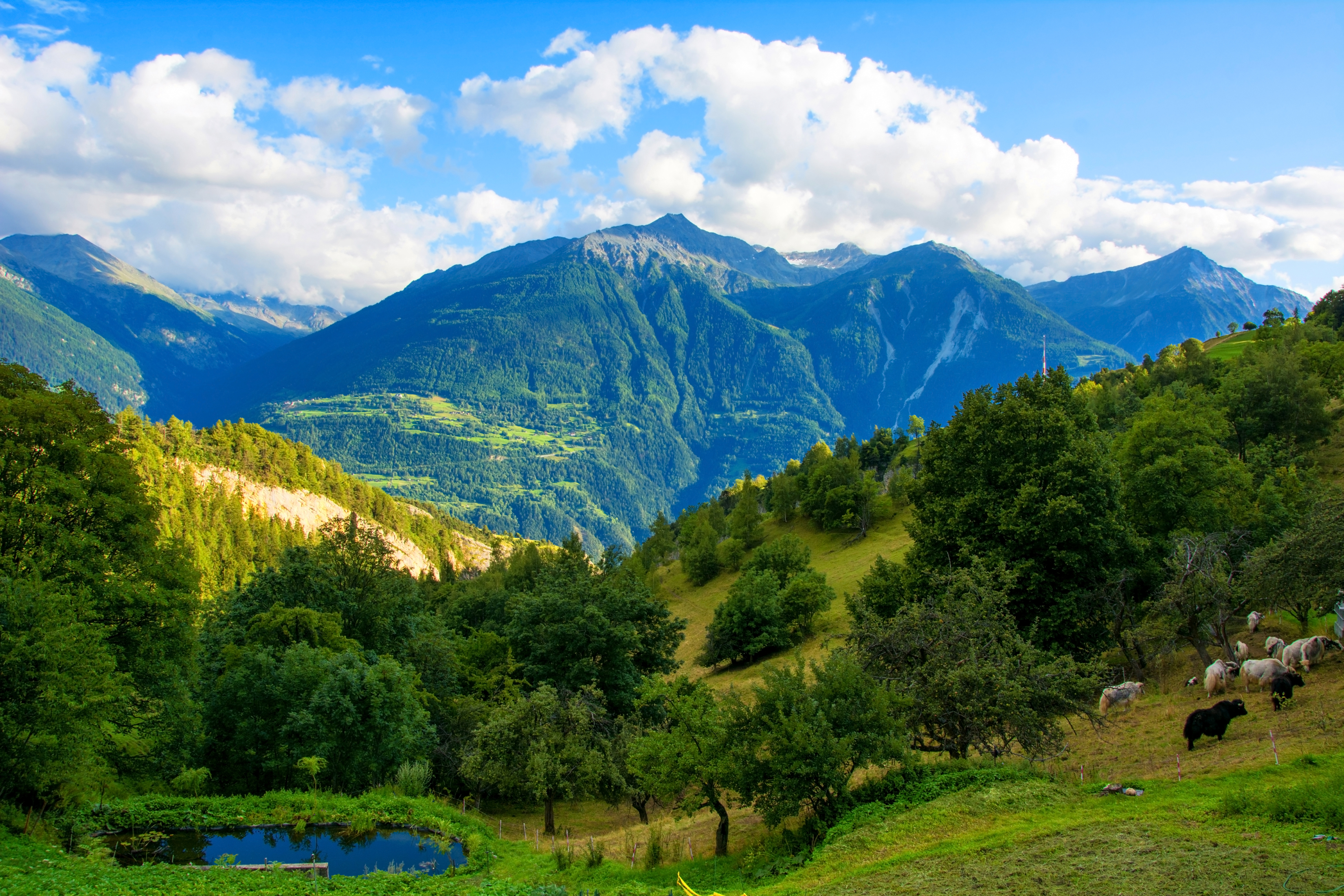 гора, вейт, пейзажи
