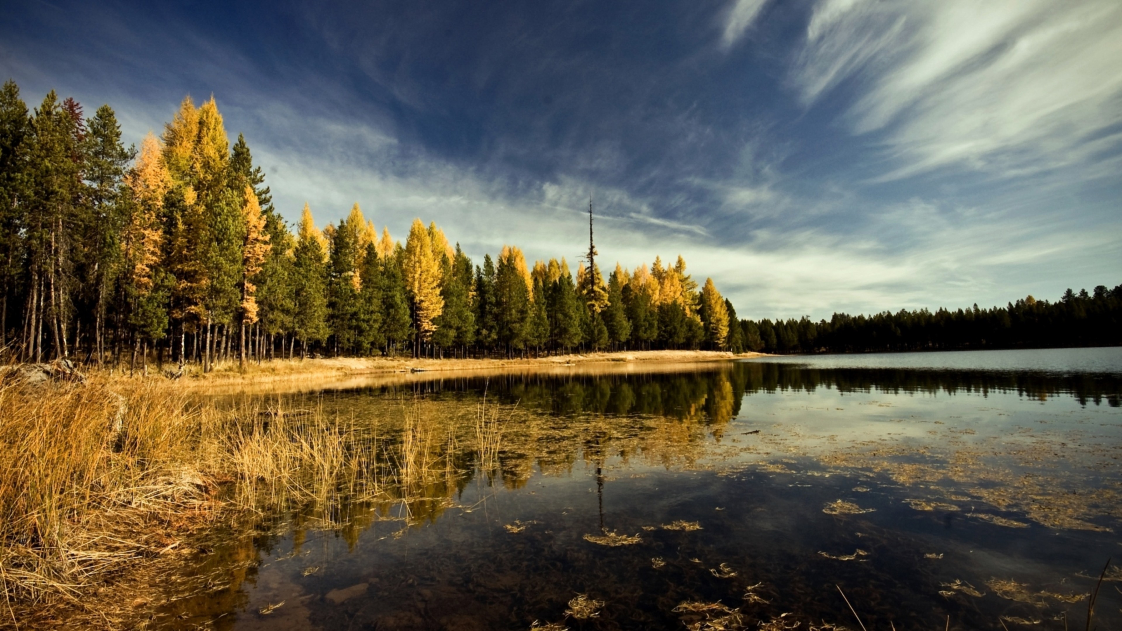 лес, озера