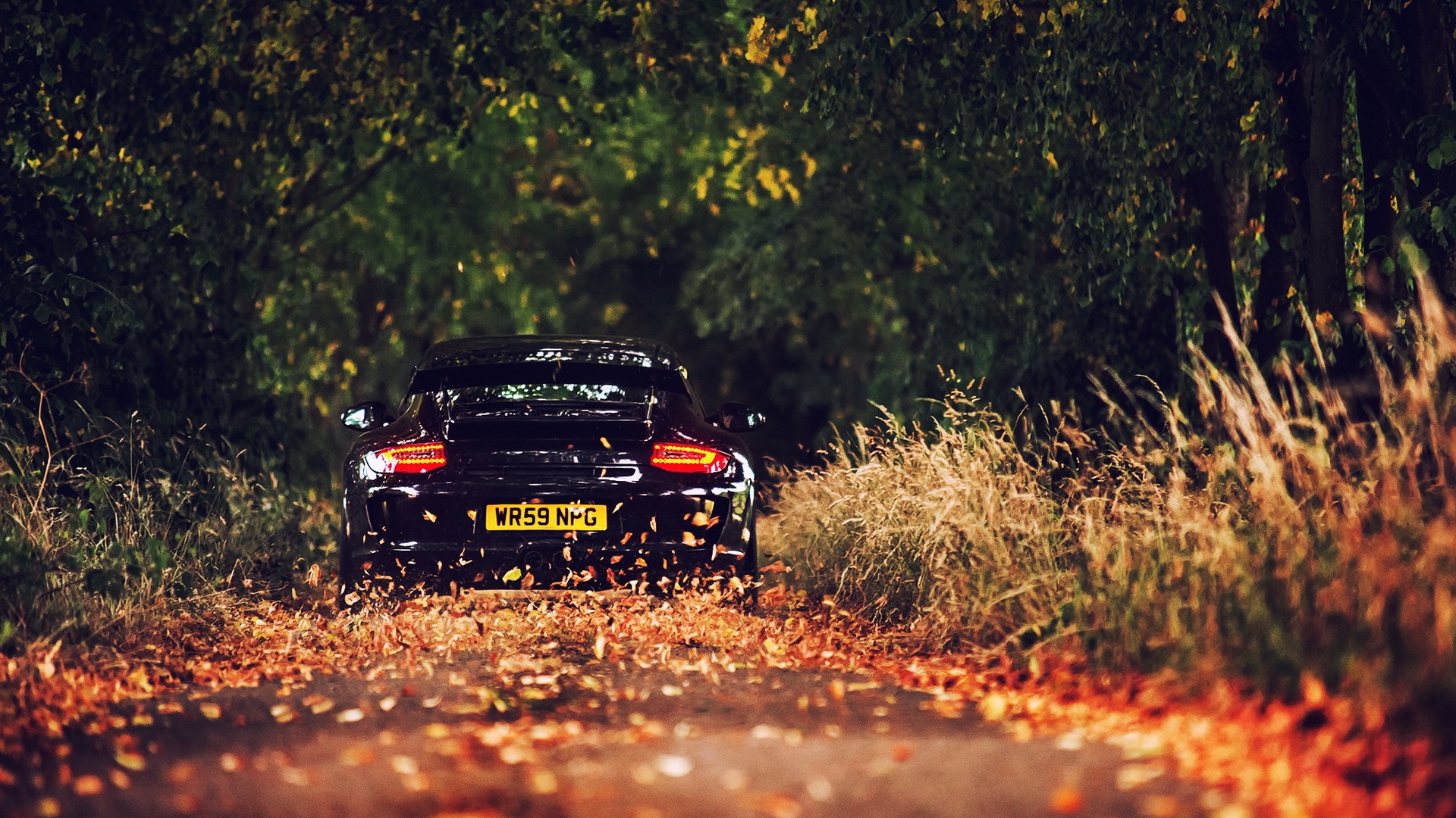 porsche, carrer, car