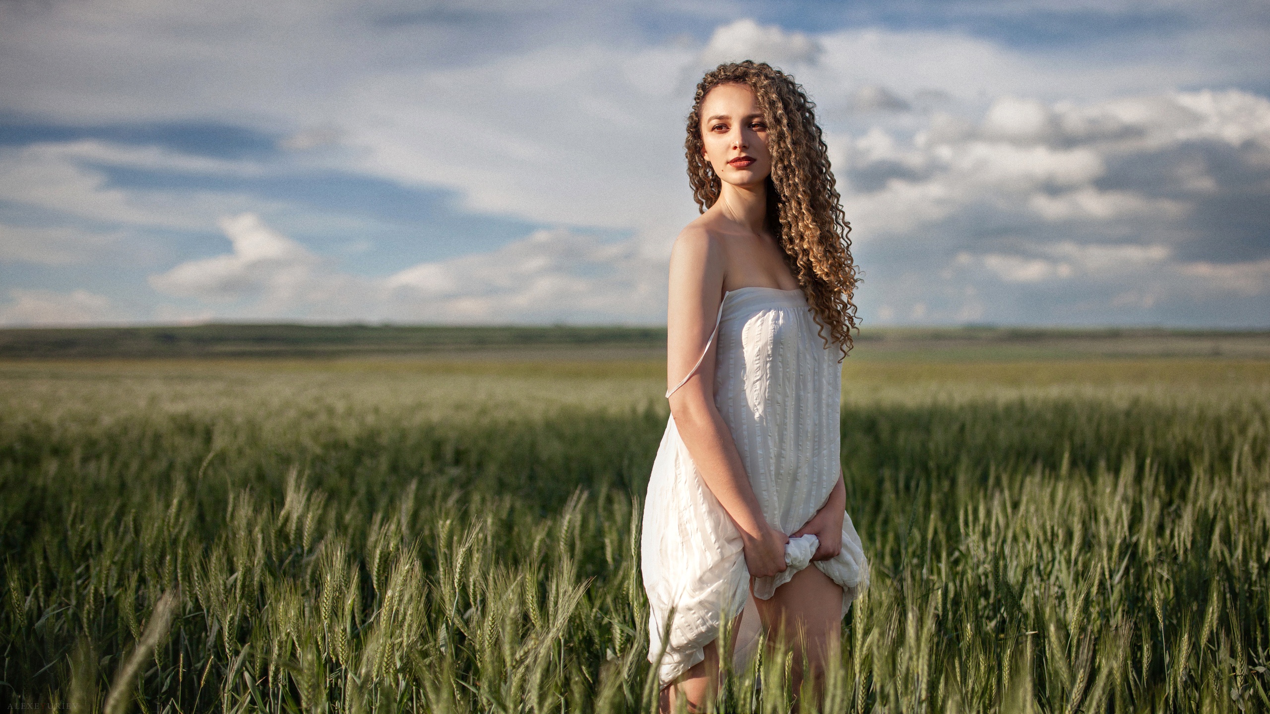александра, алексея, миксейн
