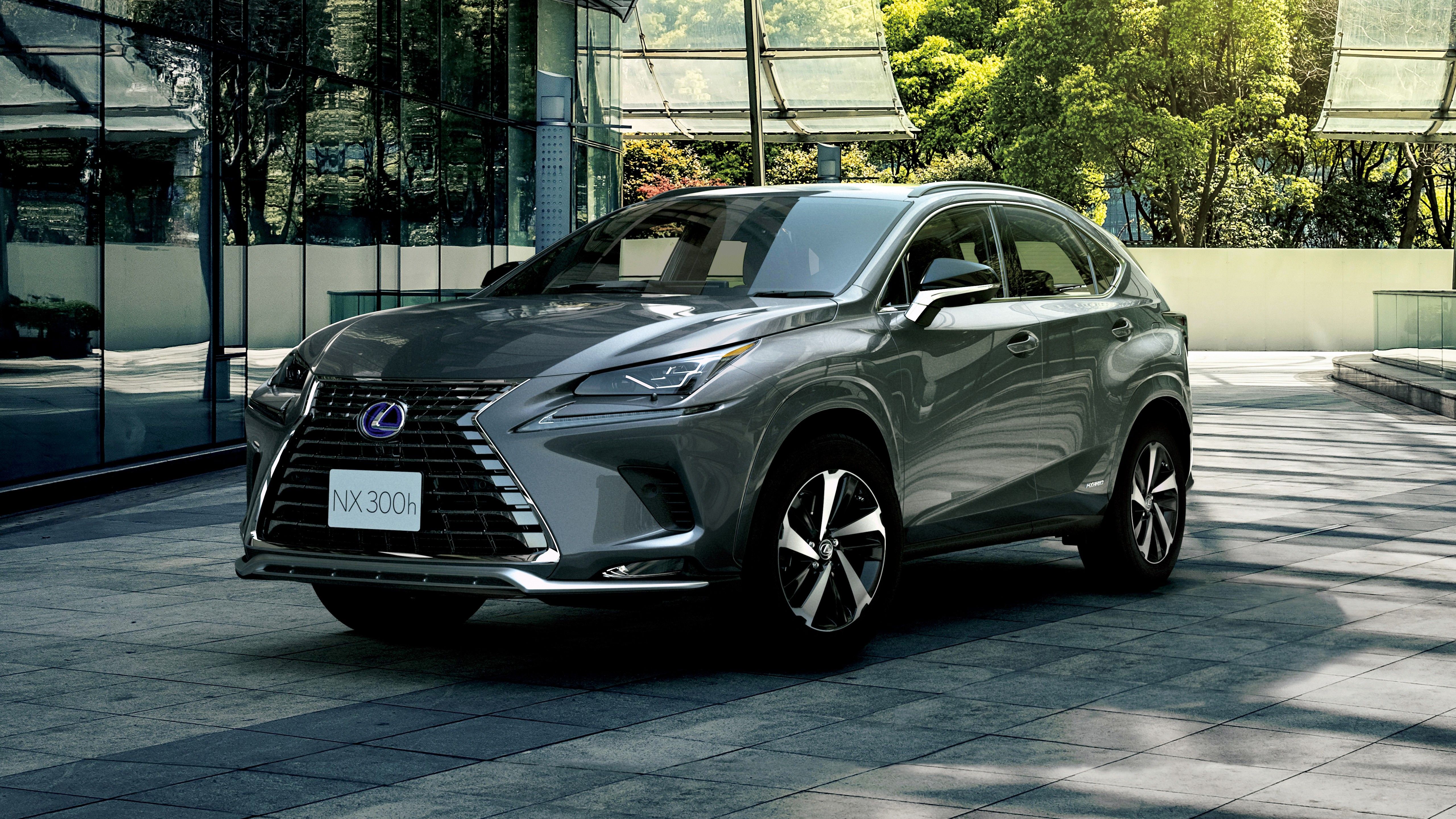 Silver nx. Lexus NX 300. Lexus NX 300h Hybrid. Lexus NX 300 2020. Lexus NX 500.