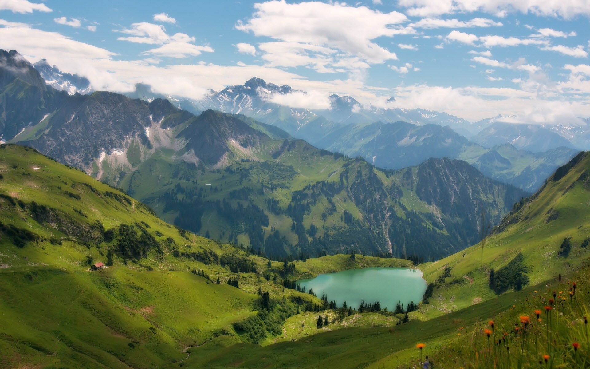 ребра, алтай