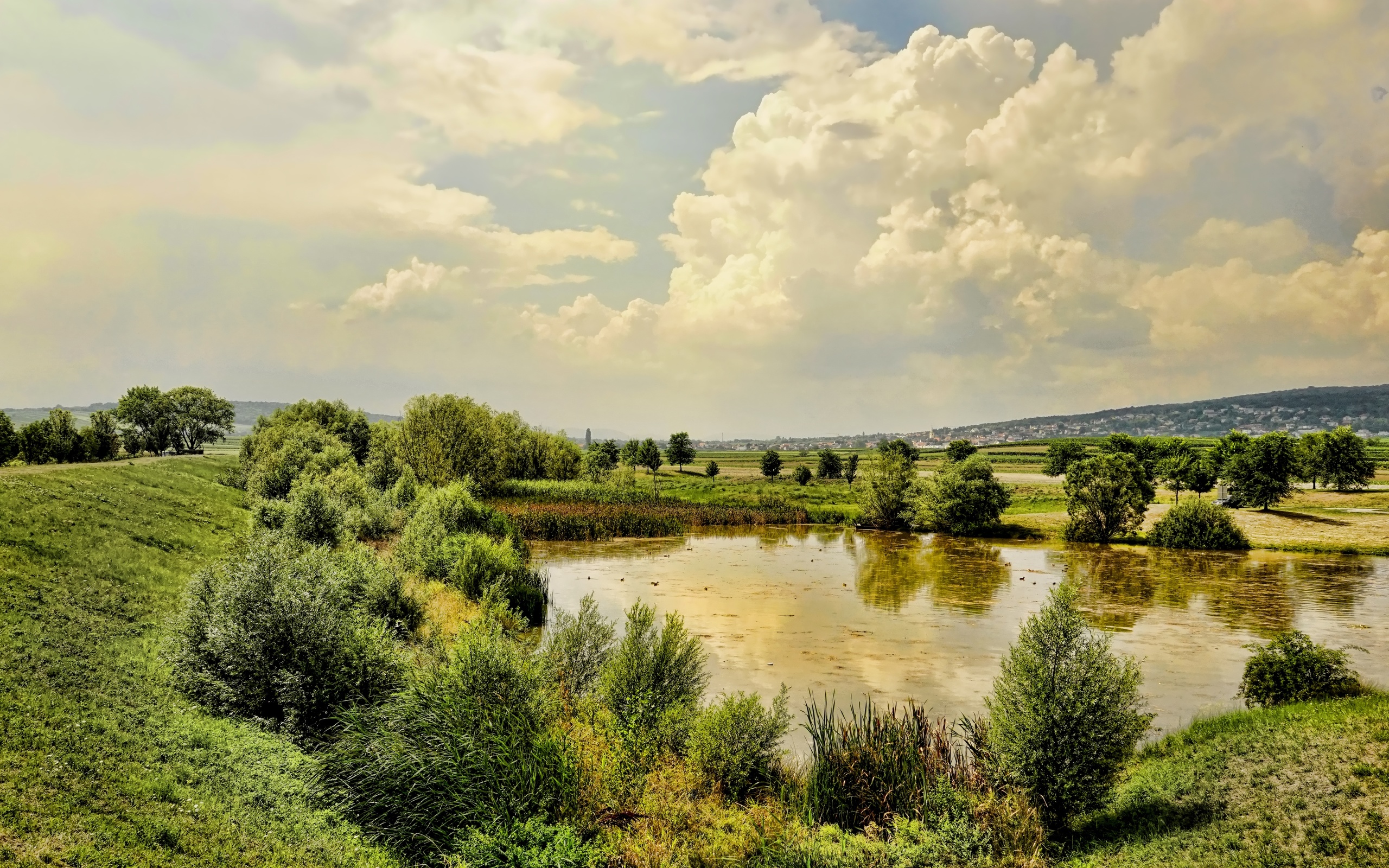 пазл, любовь