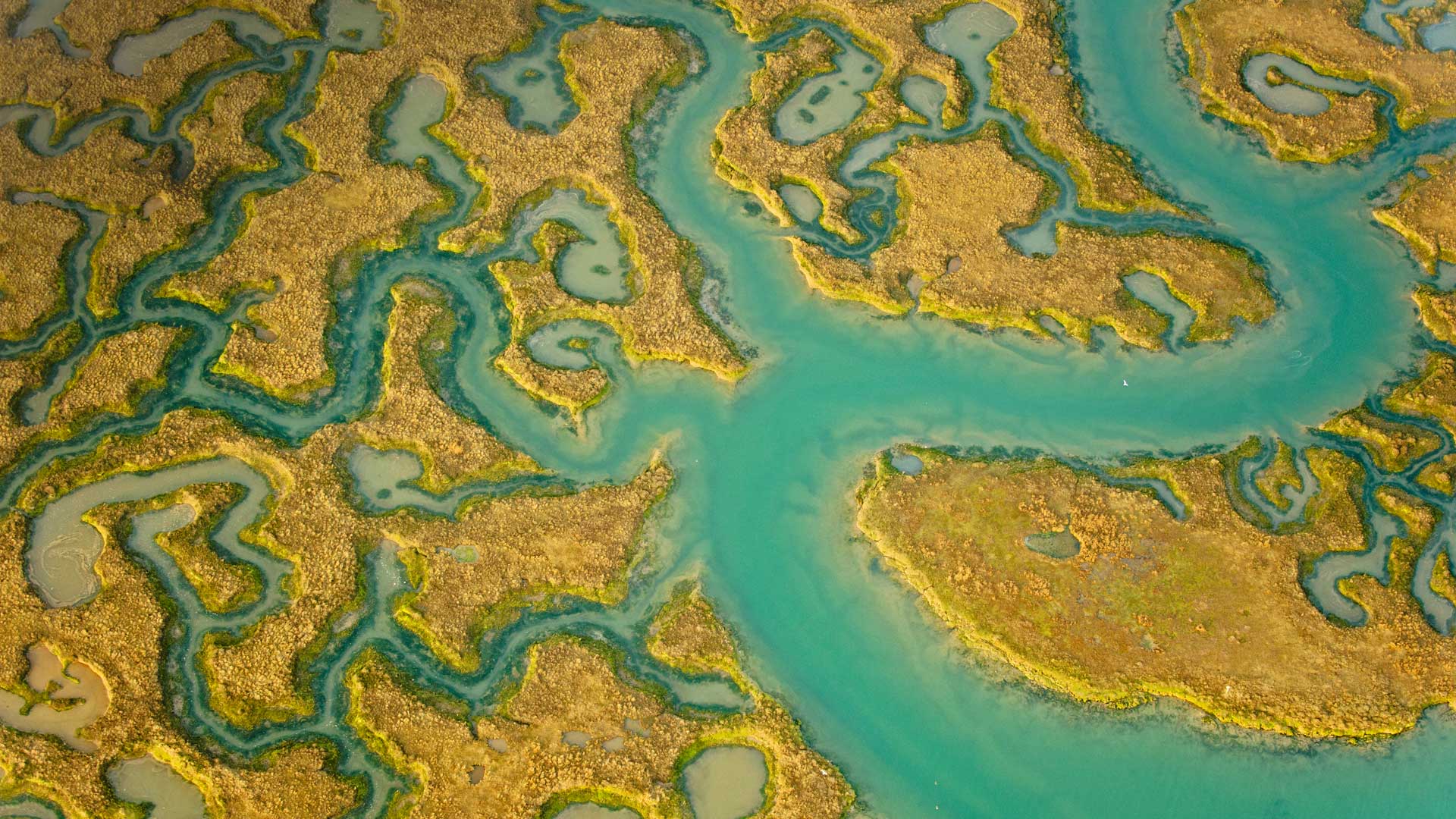 воздушный, фото