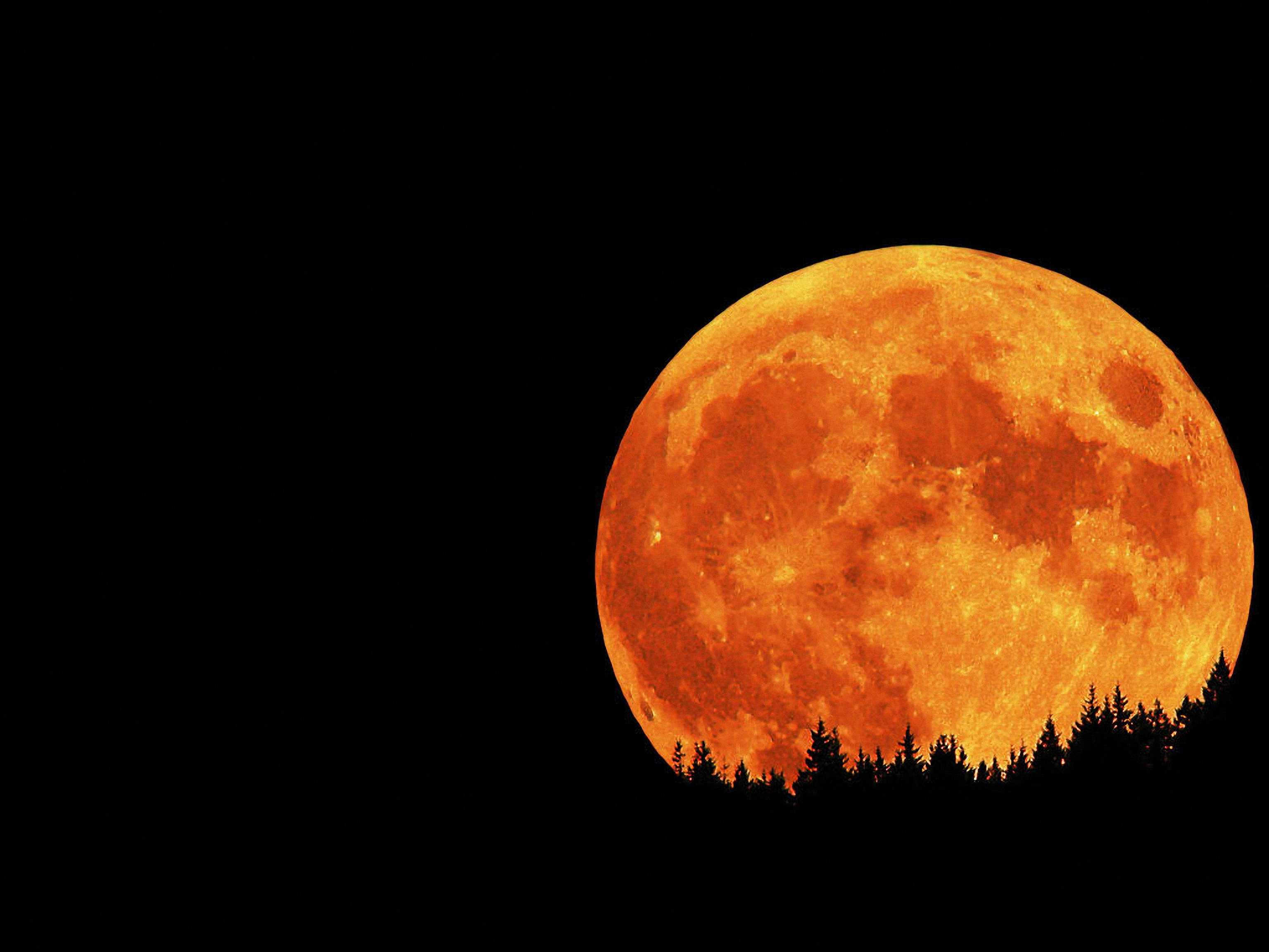 Большая оранжевая луна. Луна апельсин. Луна как апельсин. Moon. Naш рыжая Луна.