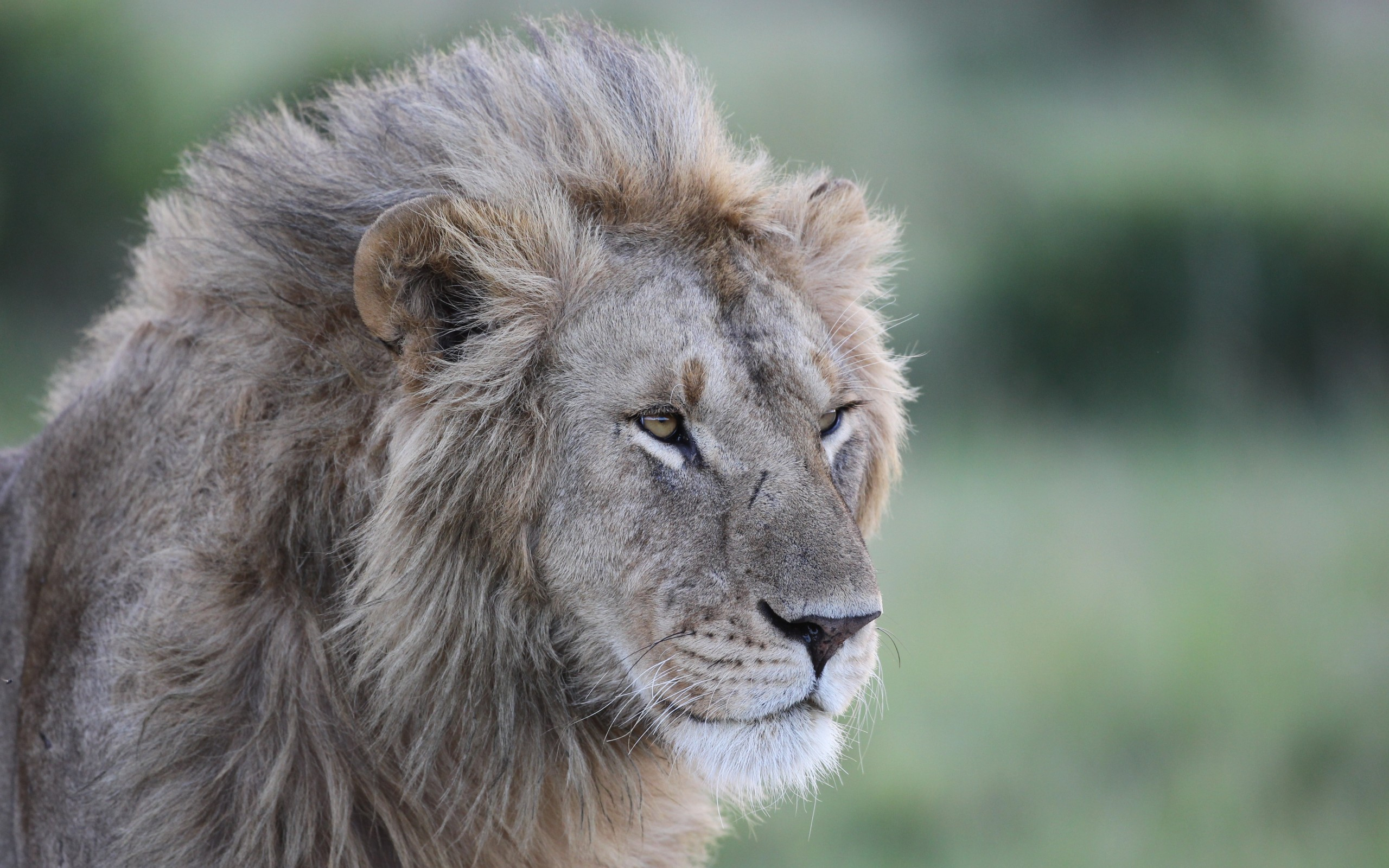 fler, zboží, коробка