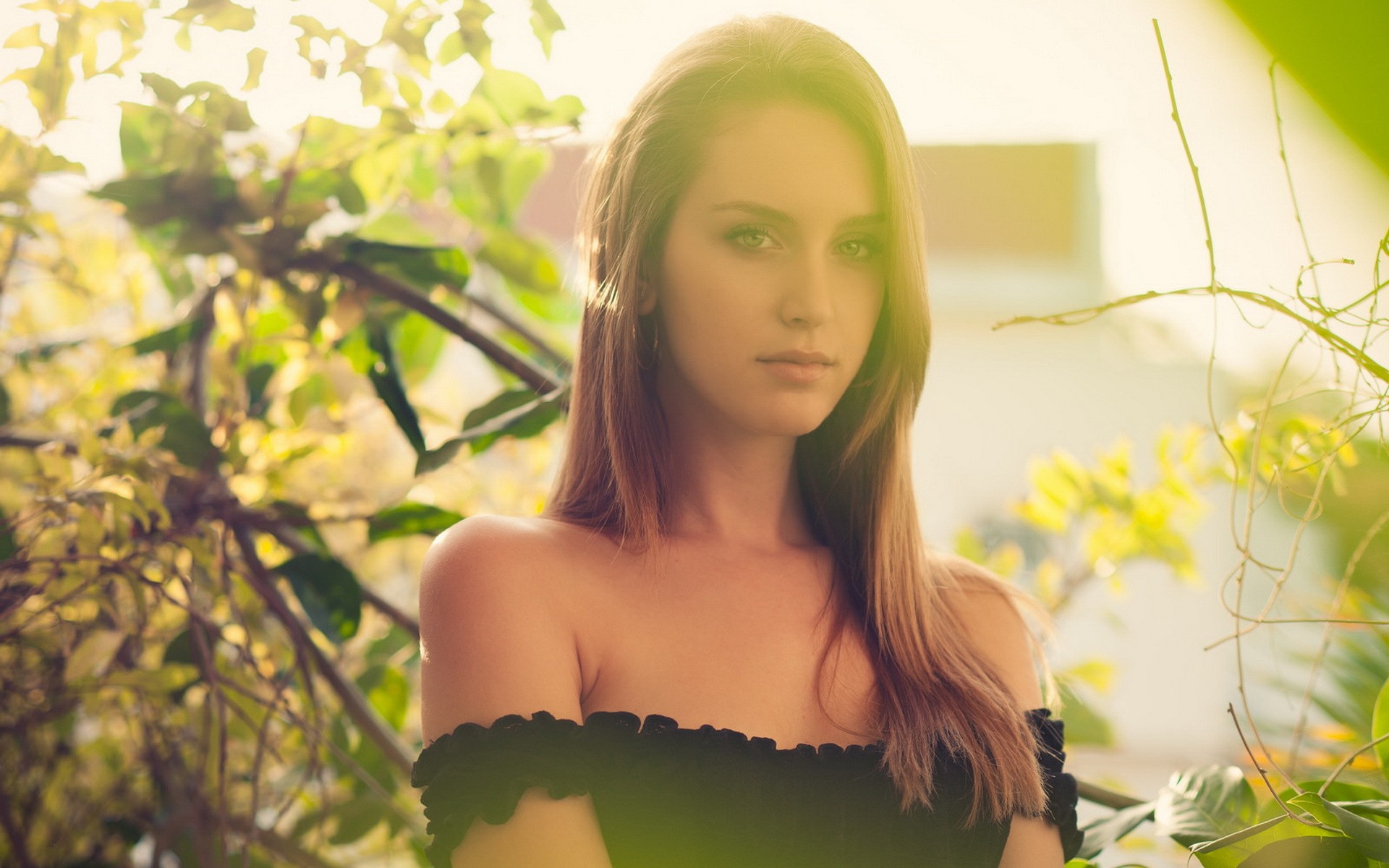 настольные, женщины, резолюции