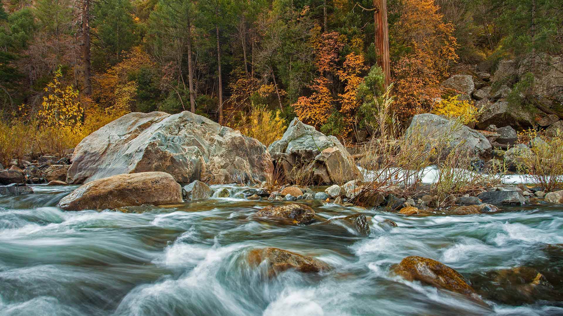 осень
