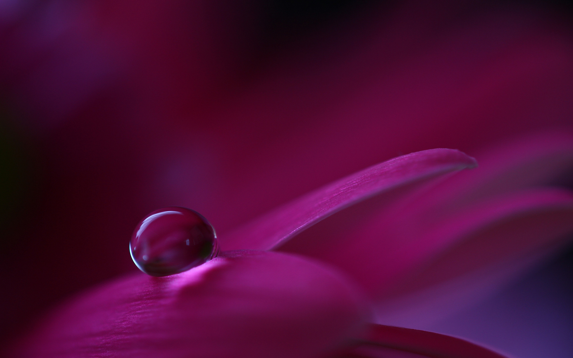 Фон № 70116 разрешение 1920x1200