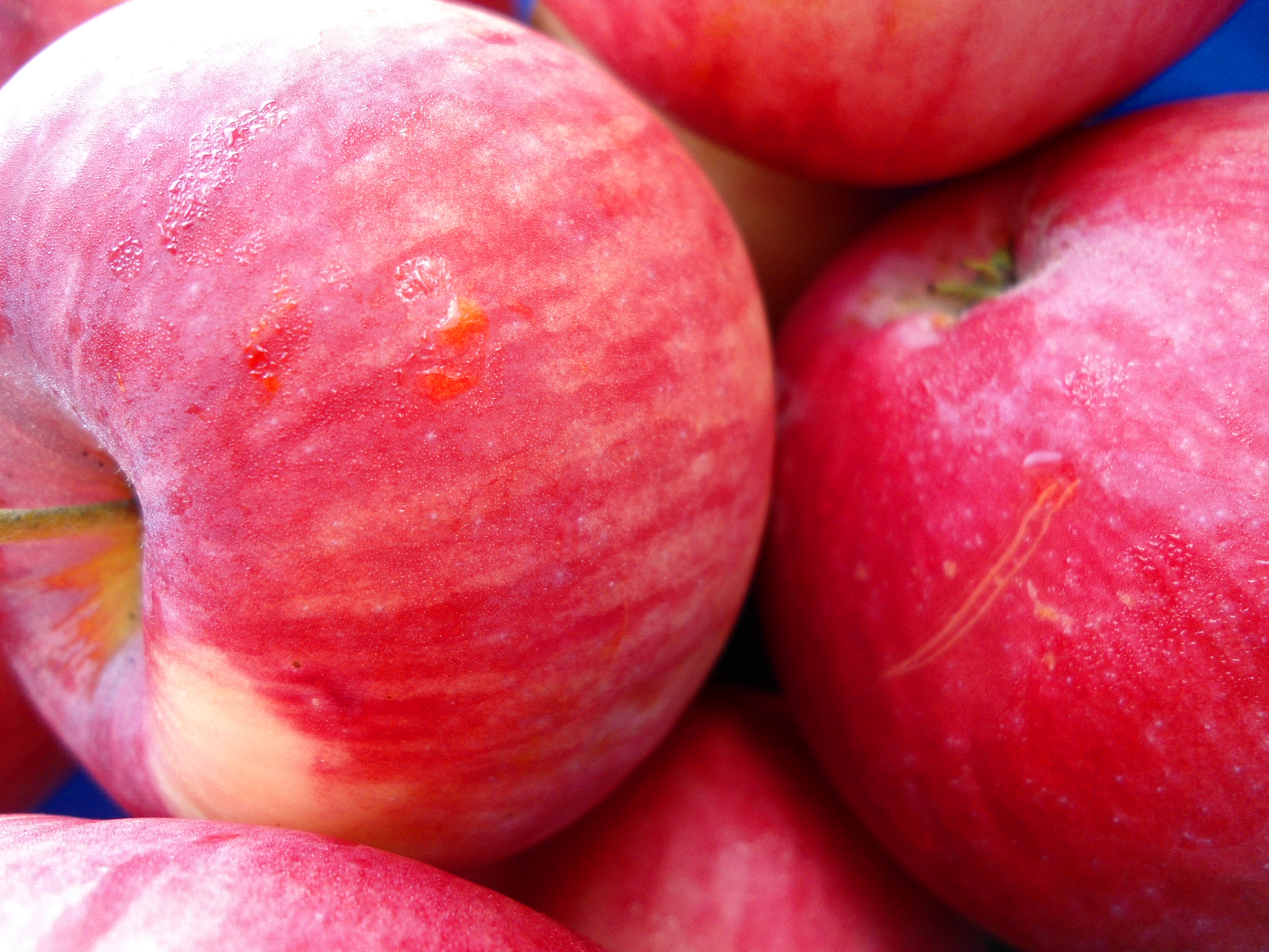 К чему снятся красивые яблоки. Сочное яблоко. Сочное красное яблоко. Спелые яблоки. Розовое яблоко.