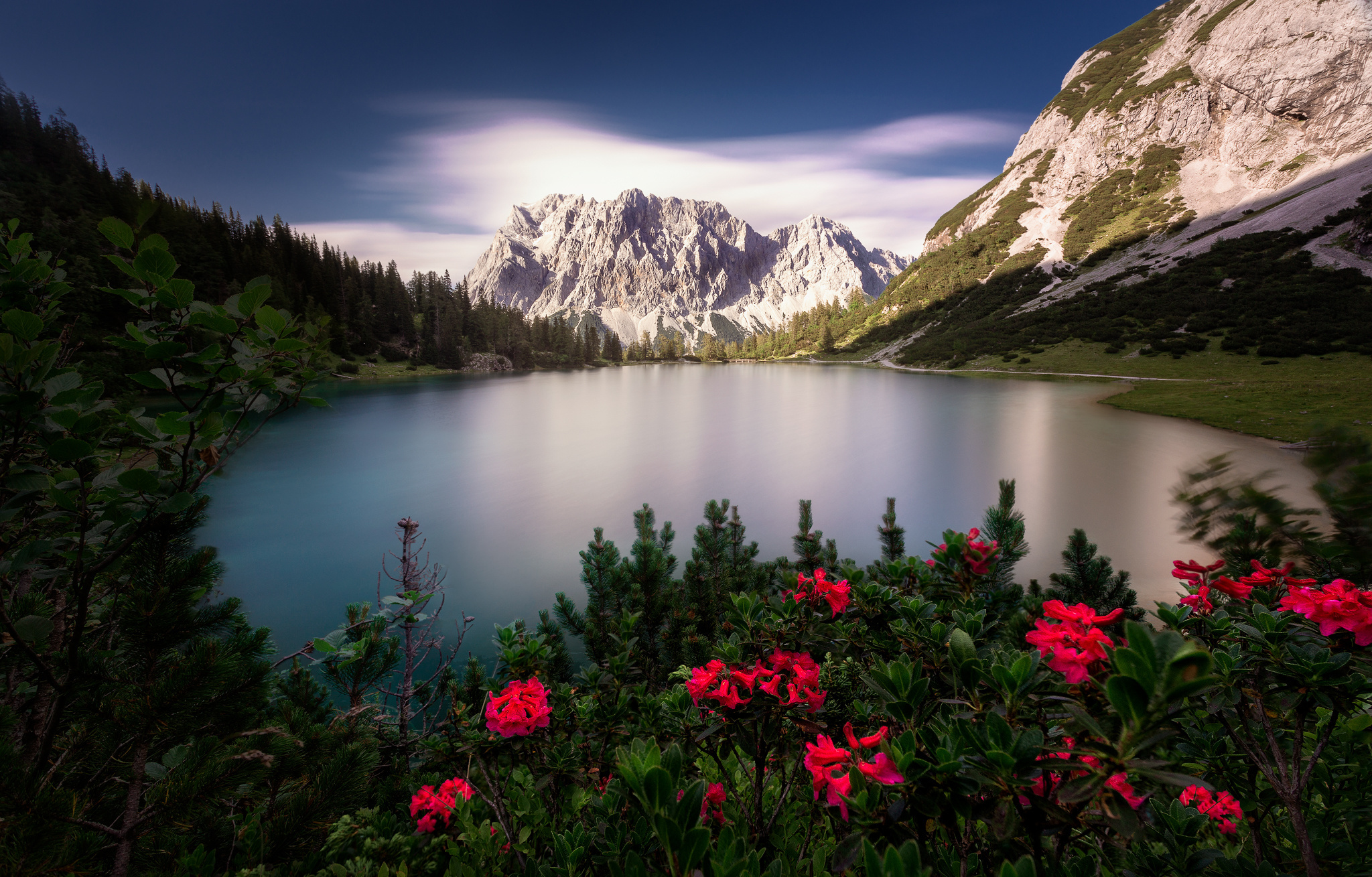 гора, лес, озеро