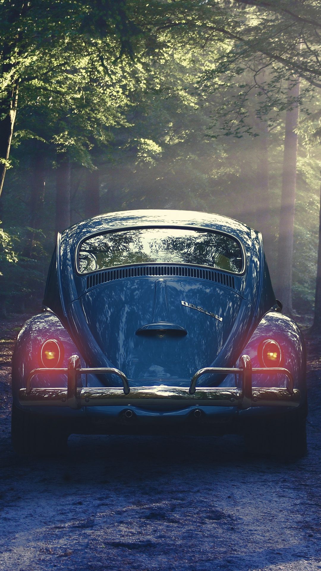 volkswagen, car