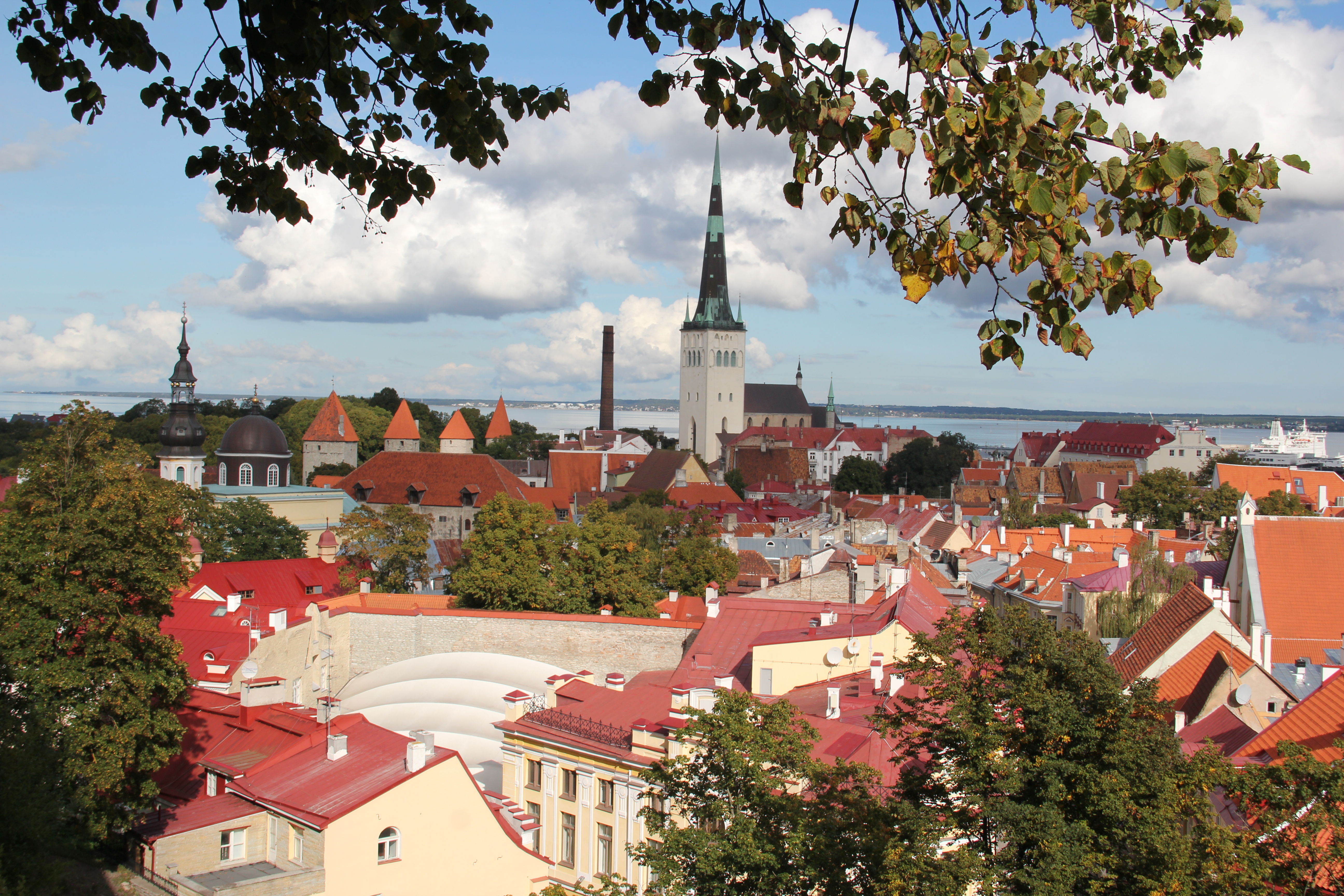 estonian, таллин, город