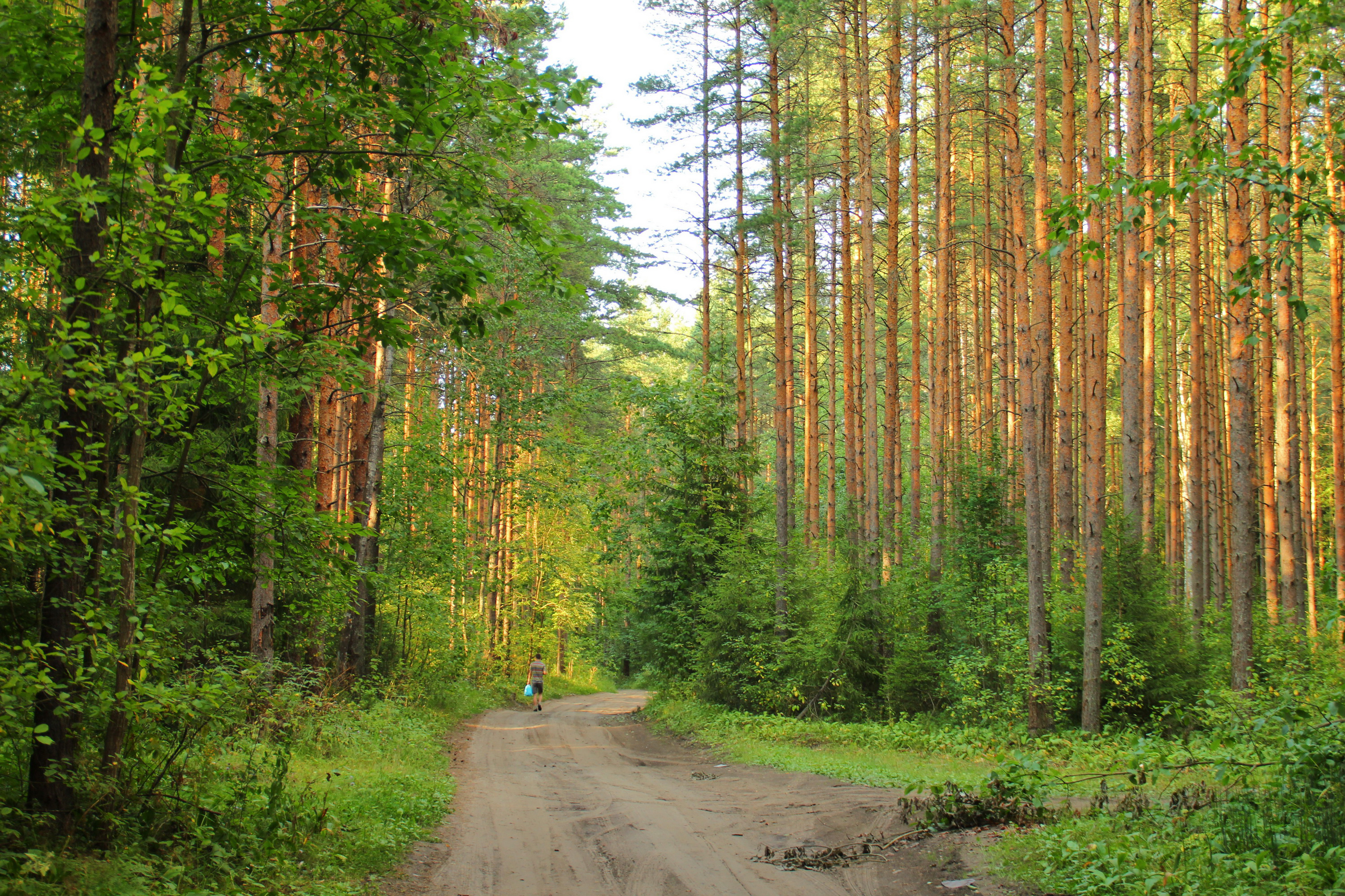 san, rusia