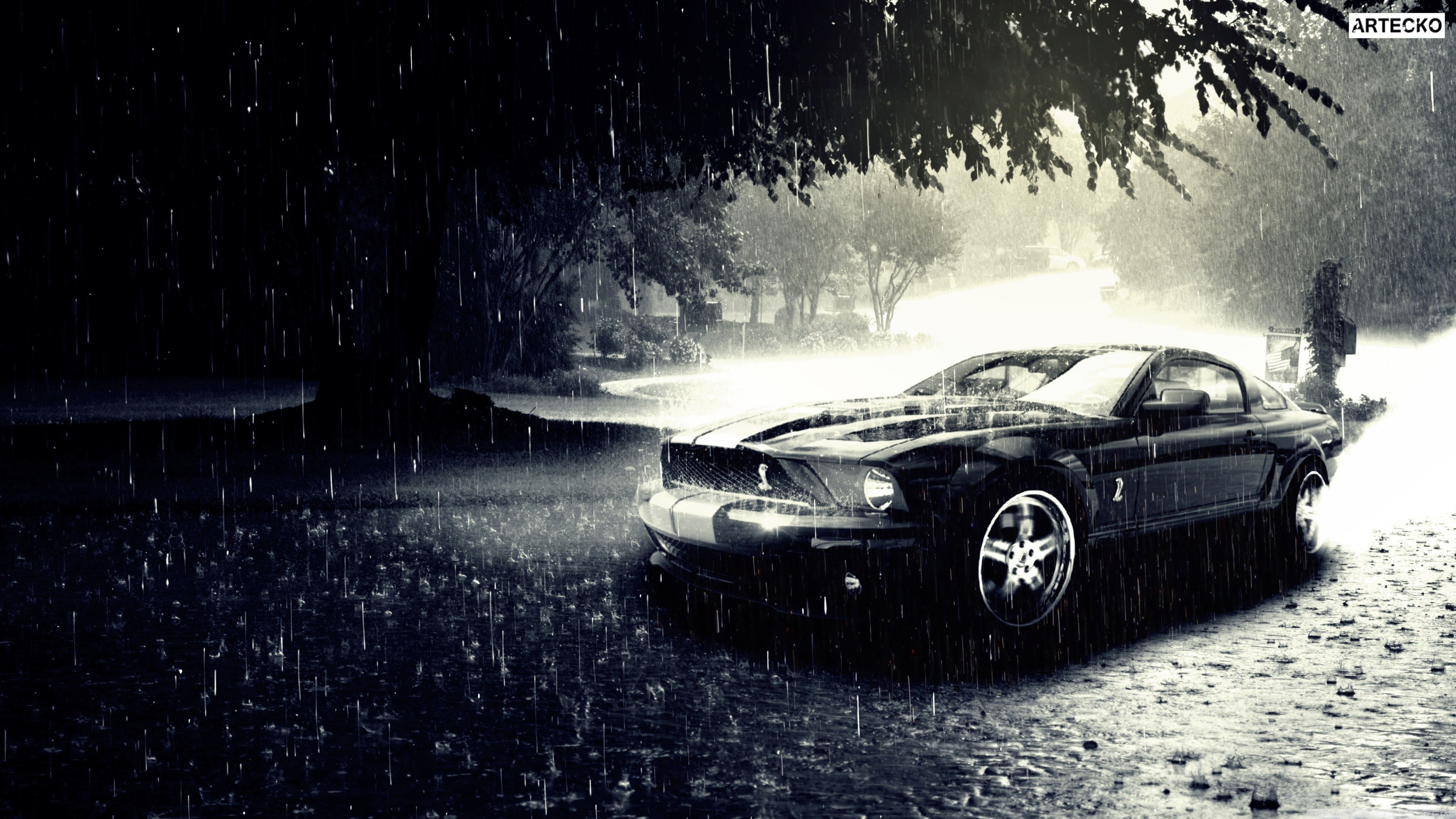 mustang, ford