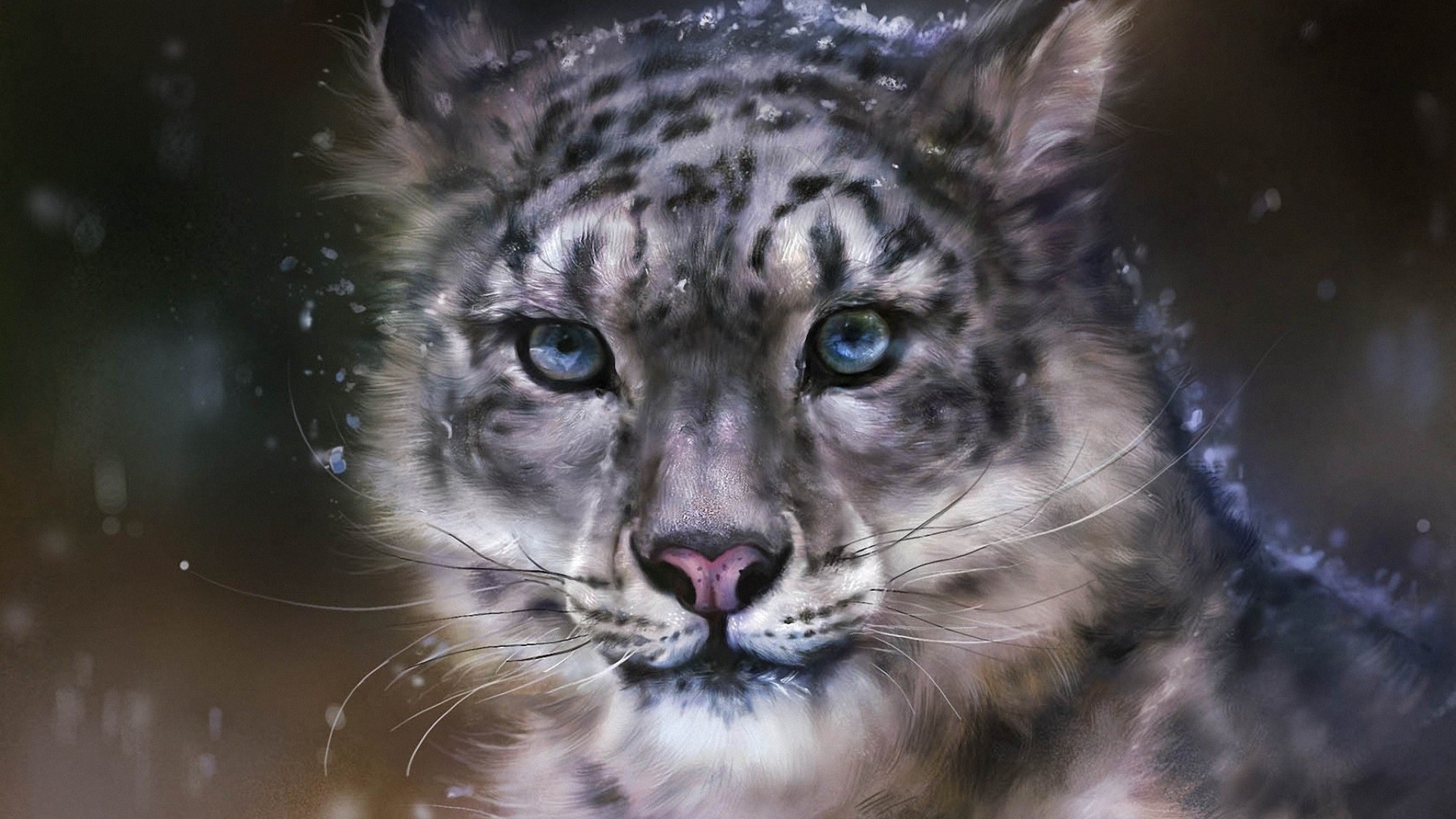 леопард, кот, снег
