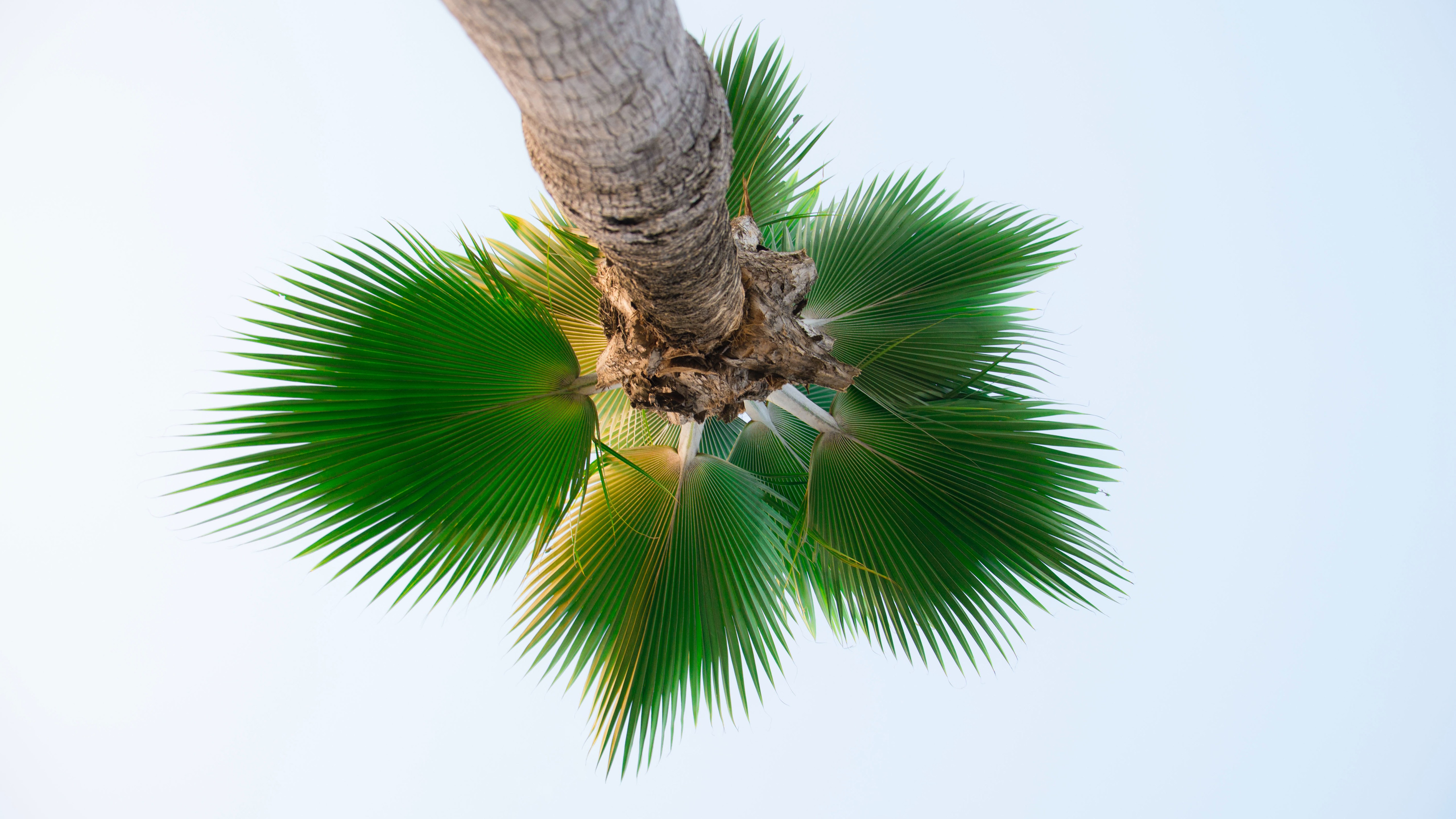 unsplash, фон, фото