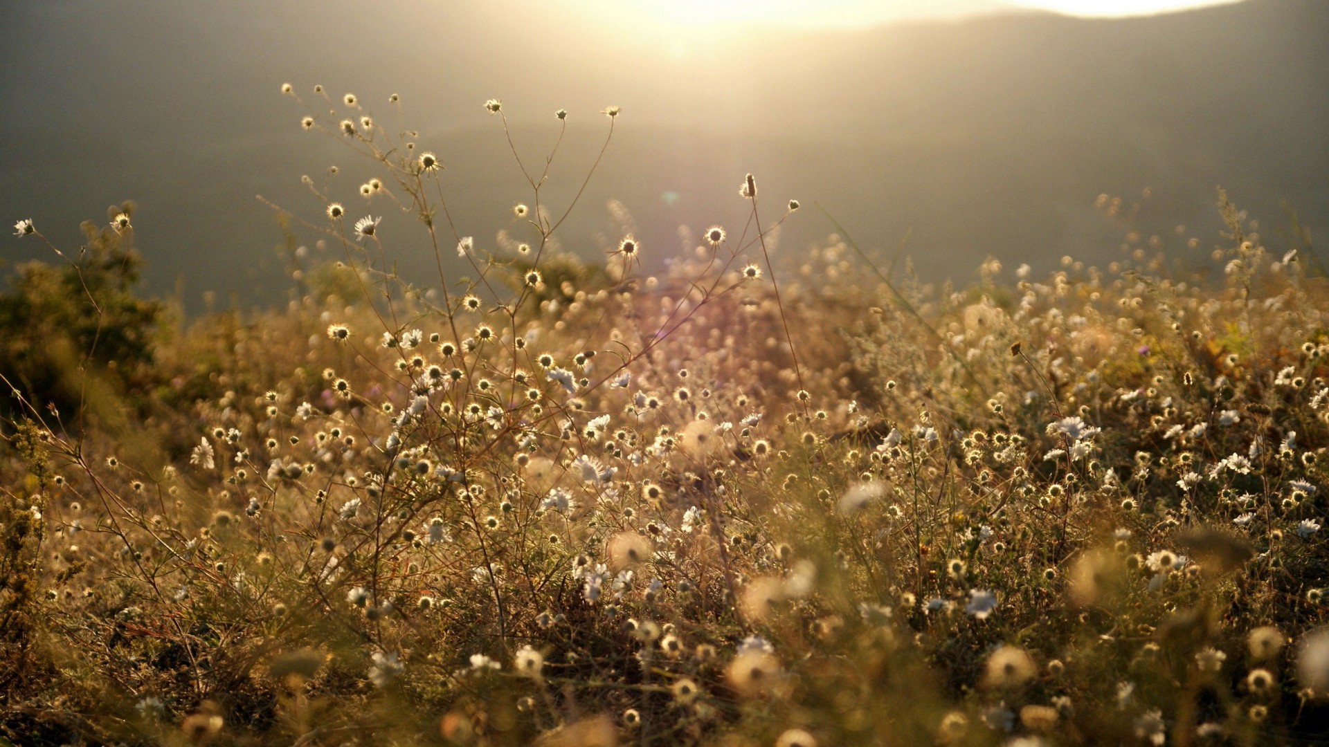 солнце, солнце