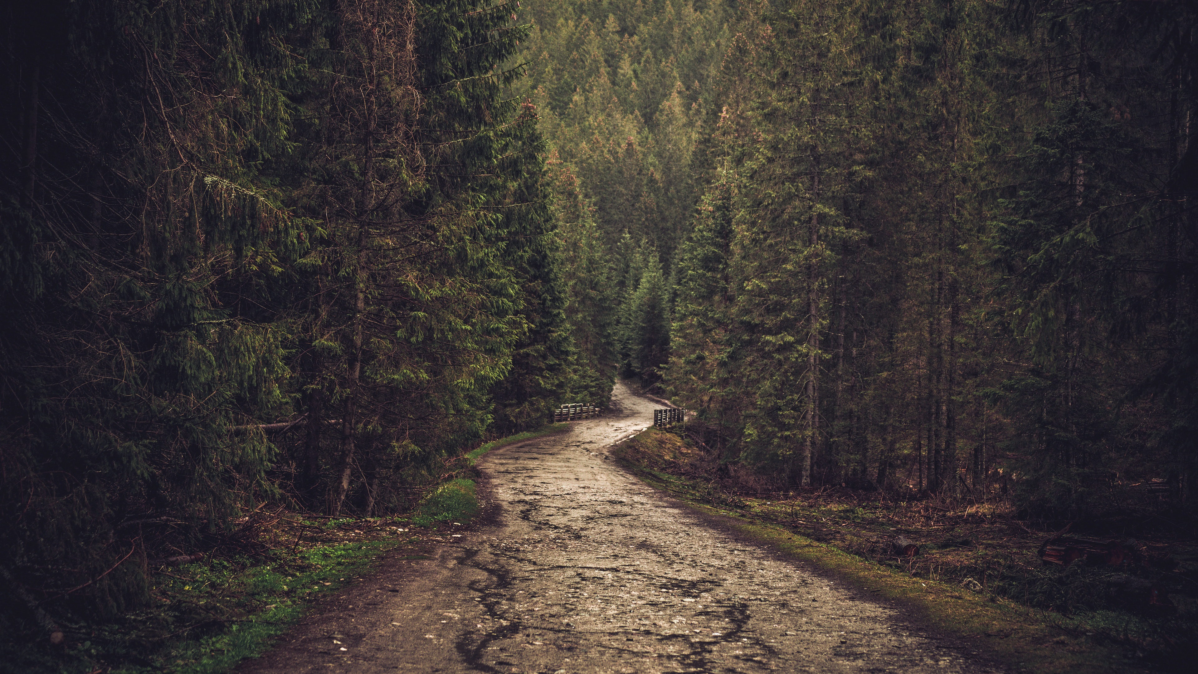 мир, пейзаж