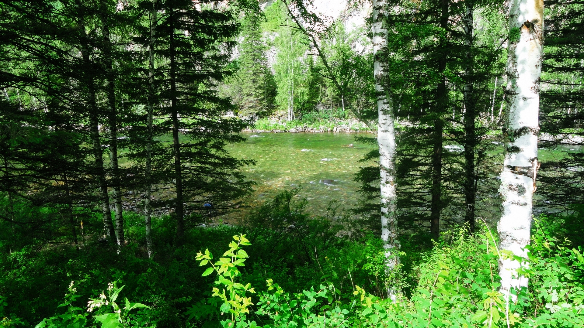 форе, хардвуд