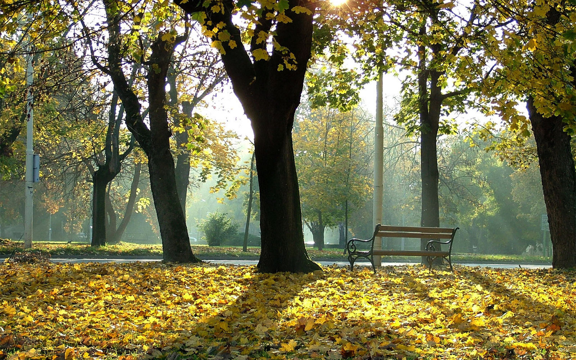 осень, размере
