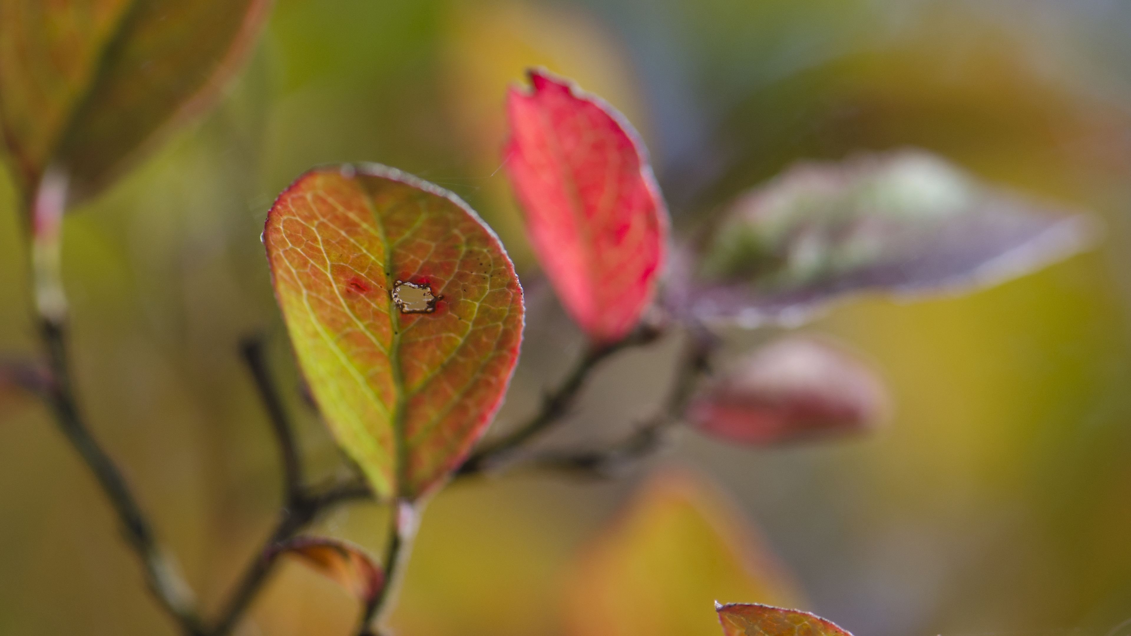 Песочница 159927