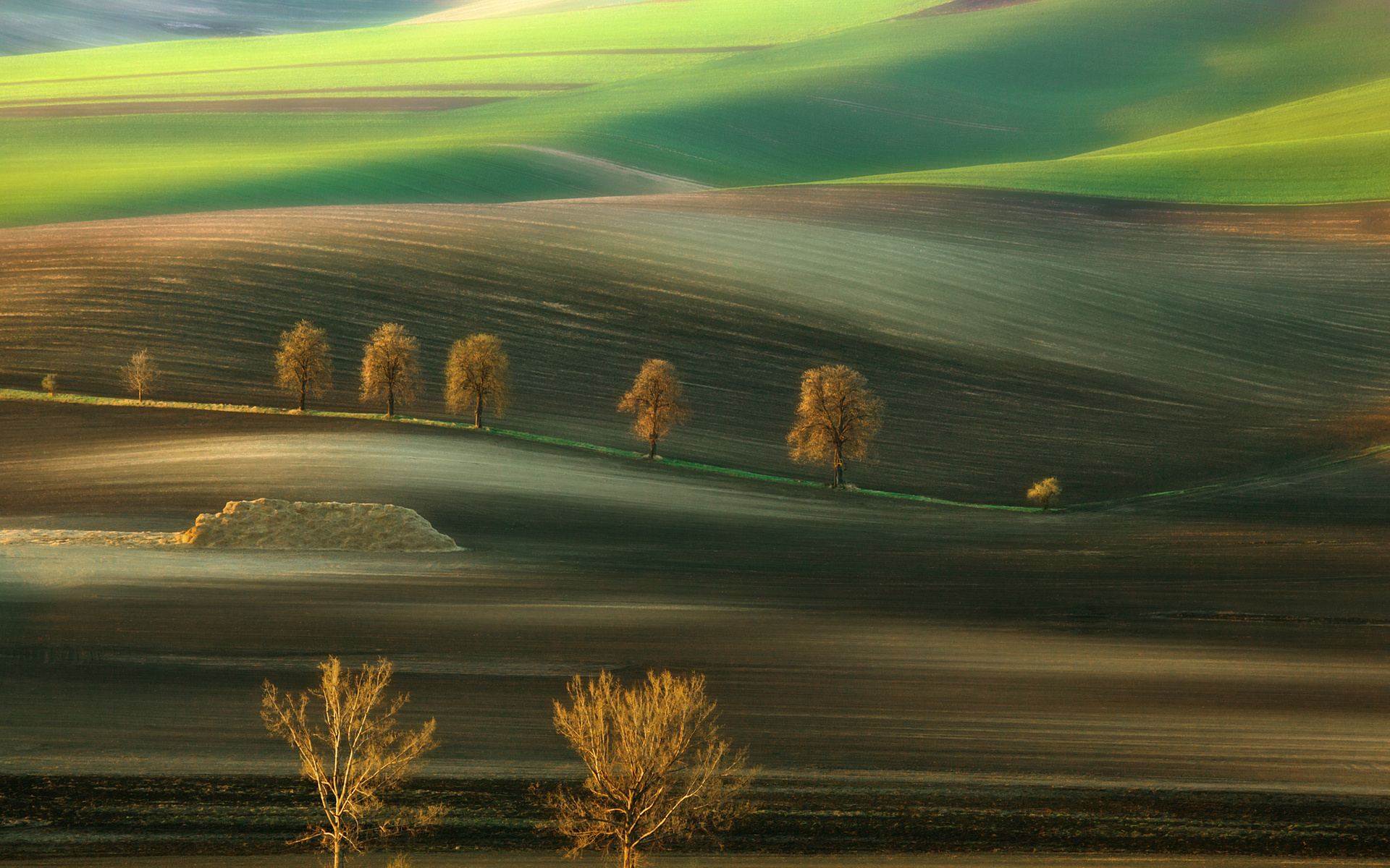 поле, стандартные