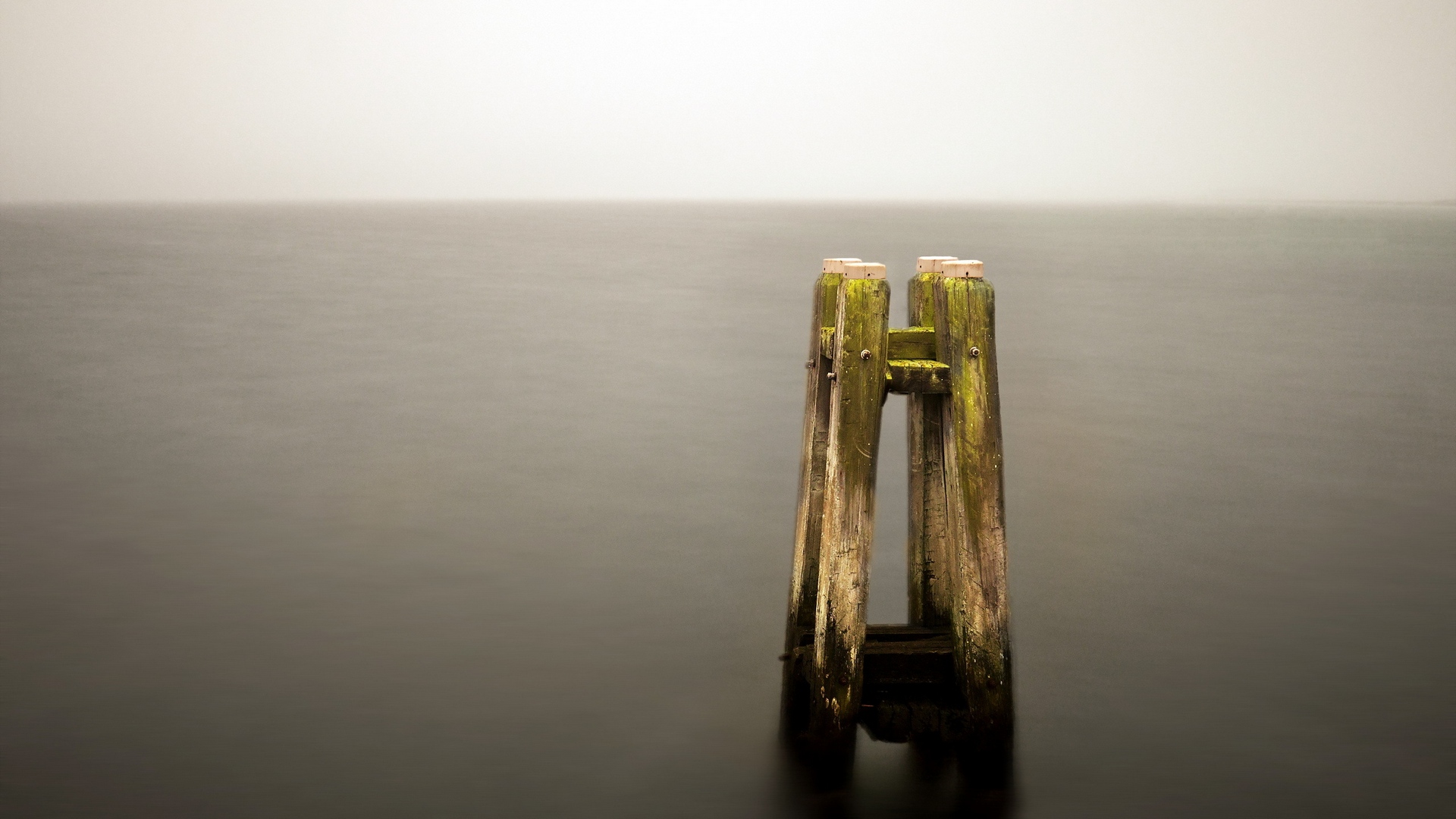 Природа 140288