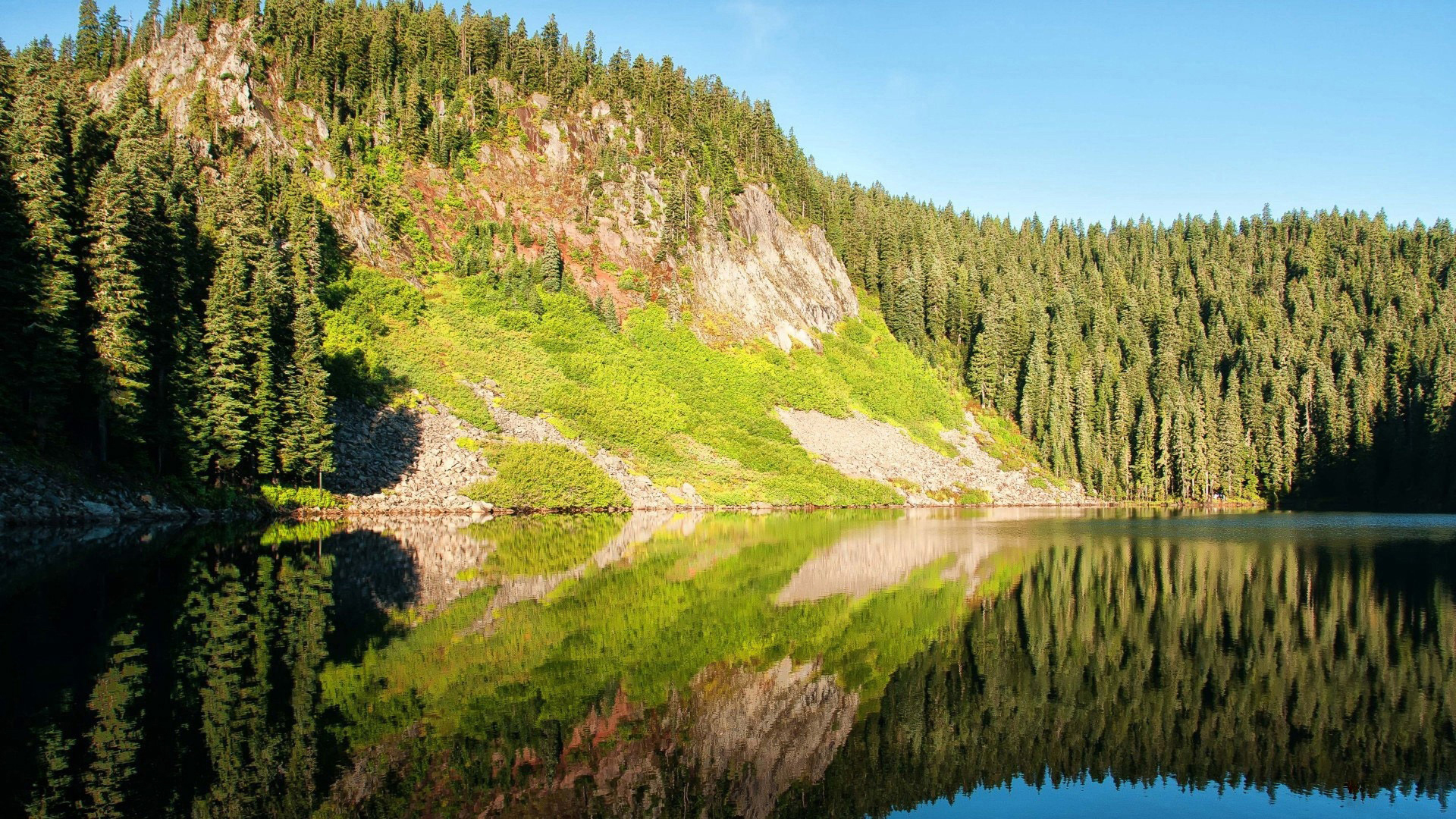 лес, гора, уж