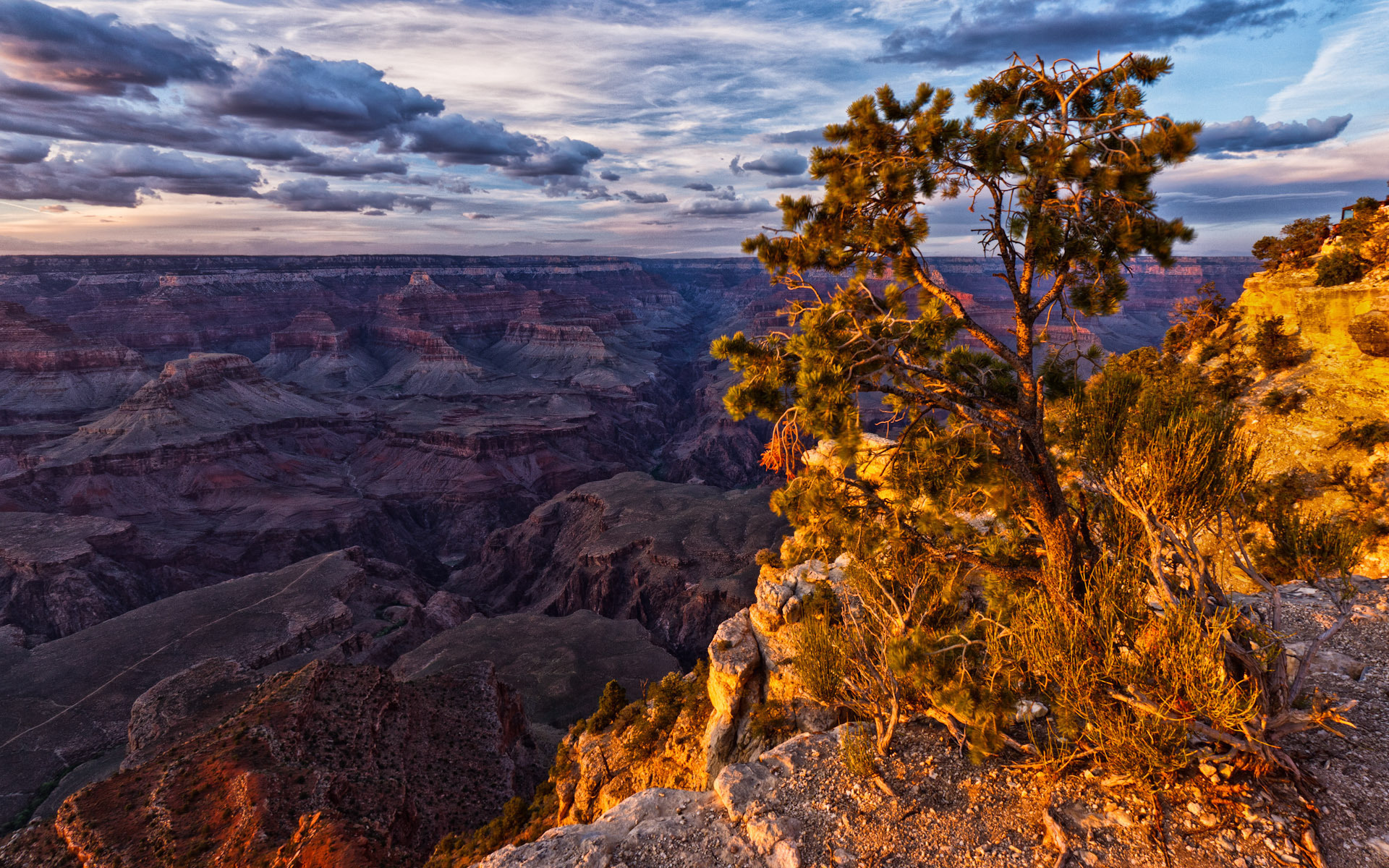 настольный, широкий экран