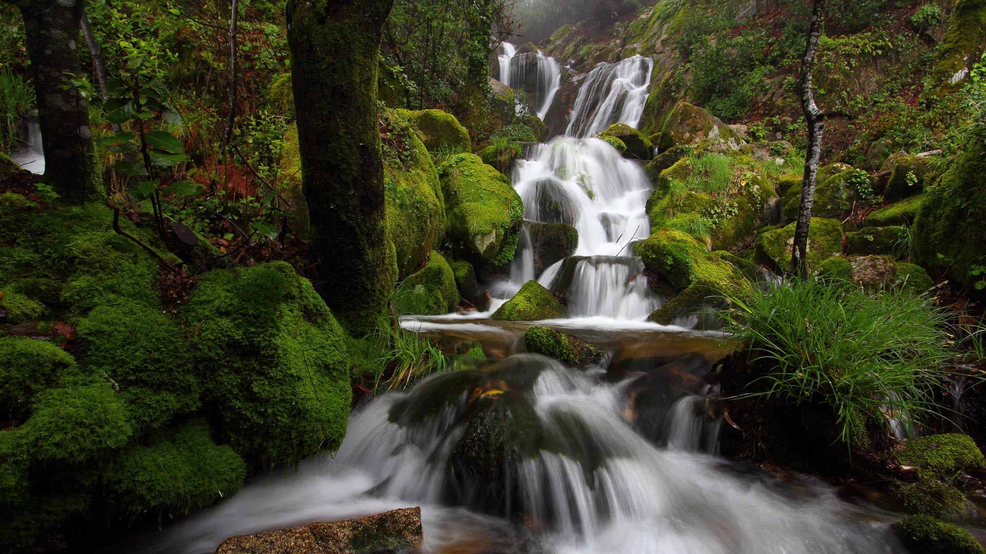 pantalla, cascada, naturaleza