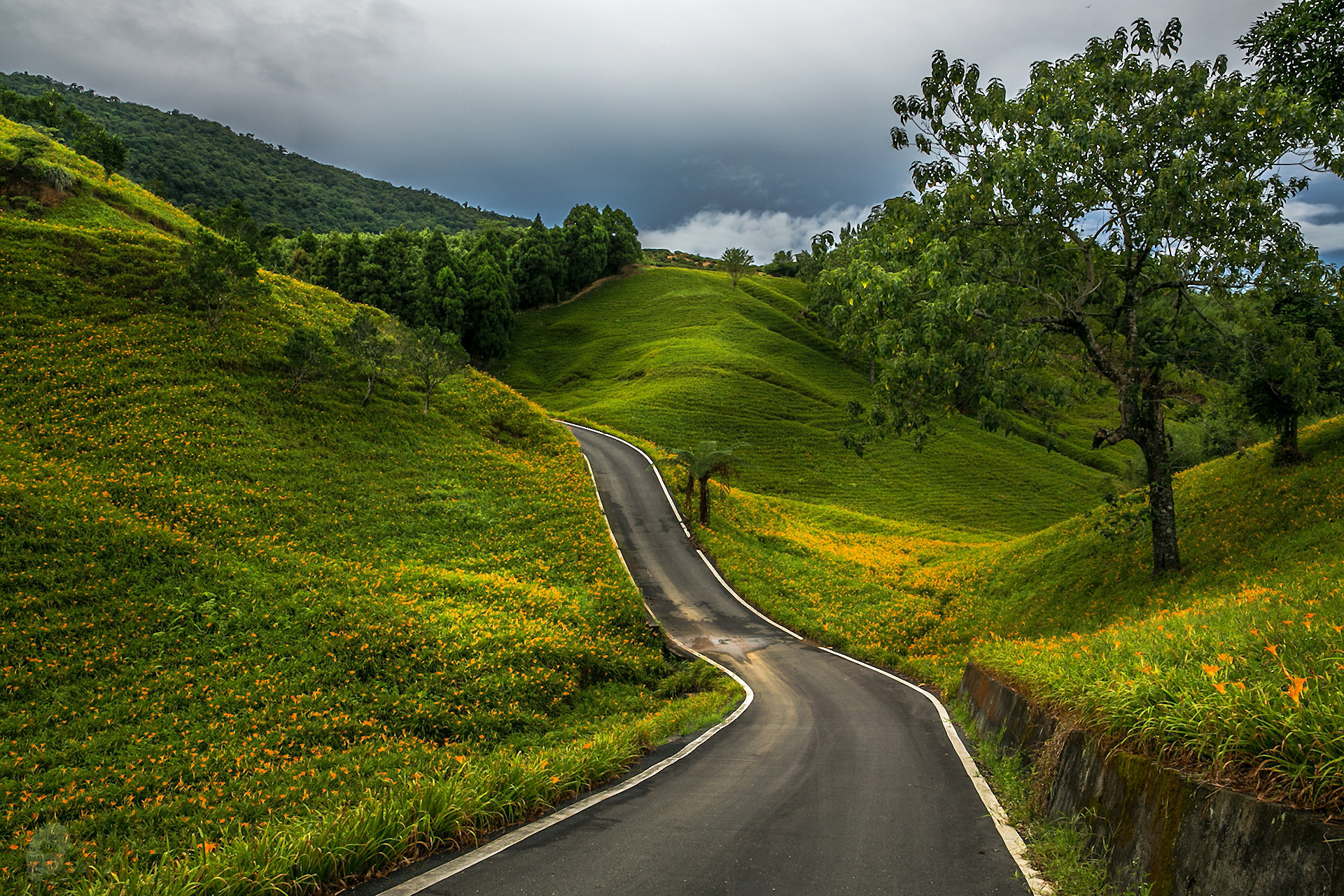Way path. Извилистая тропа в гору. Красивая дорога. Природа дорога. Пейзаж с дорогой.