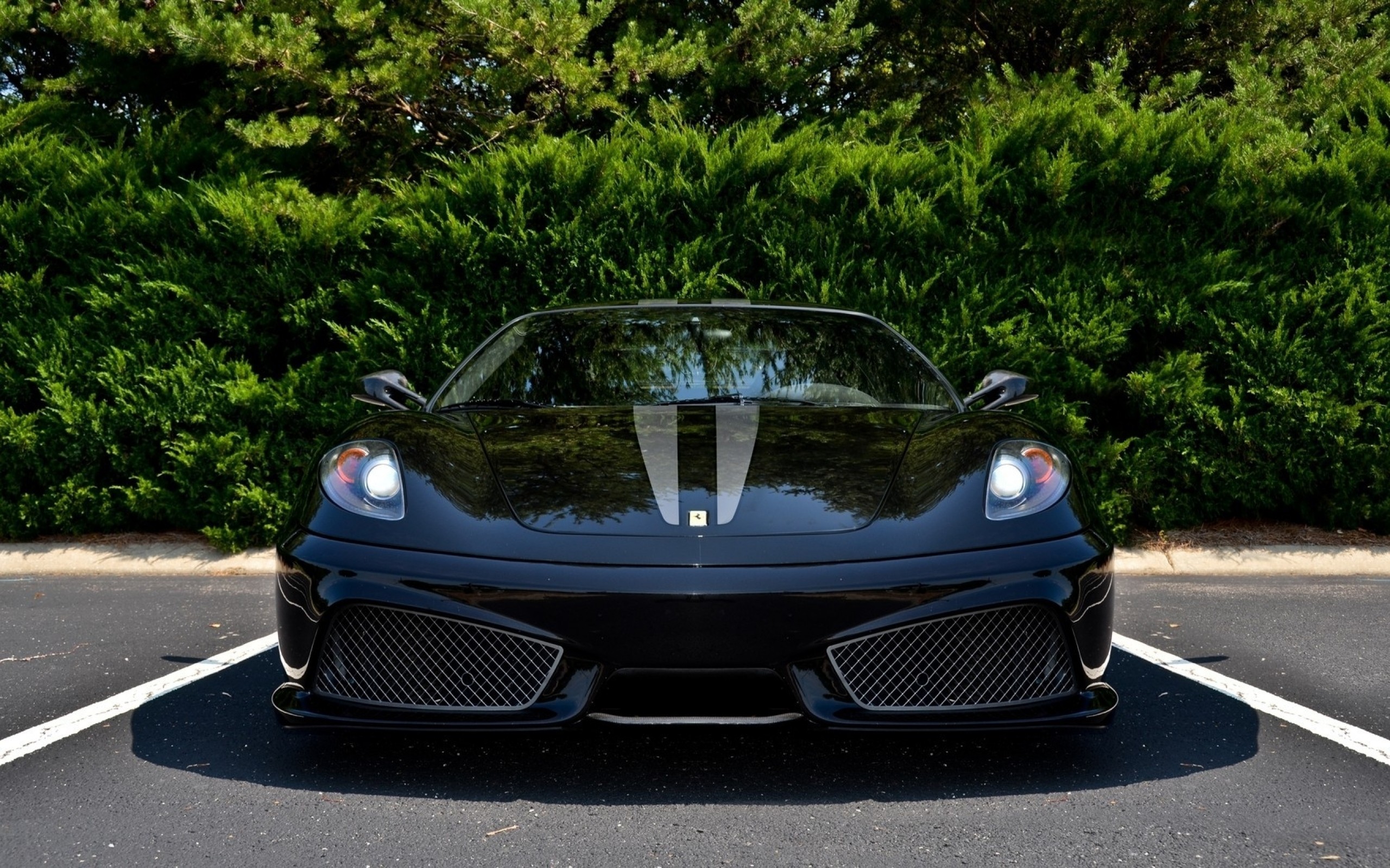 ferrari, scuderia, серединные соединения No 55906 Разрешение 2560x1600
