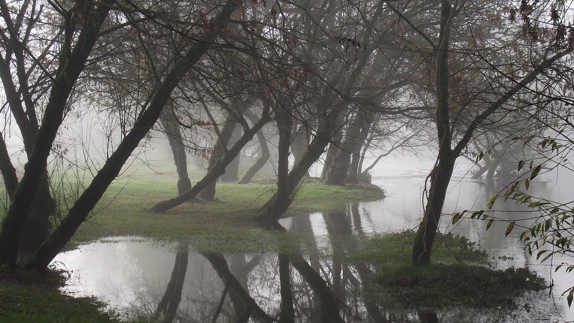вода, деревревянная