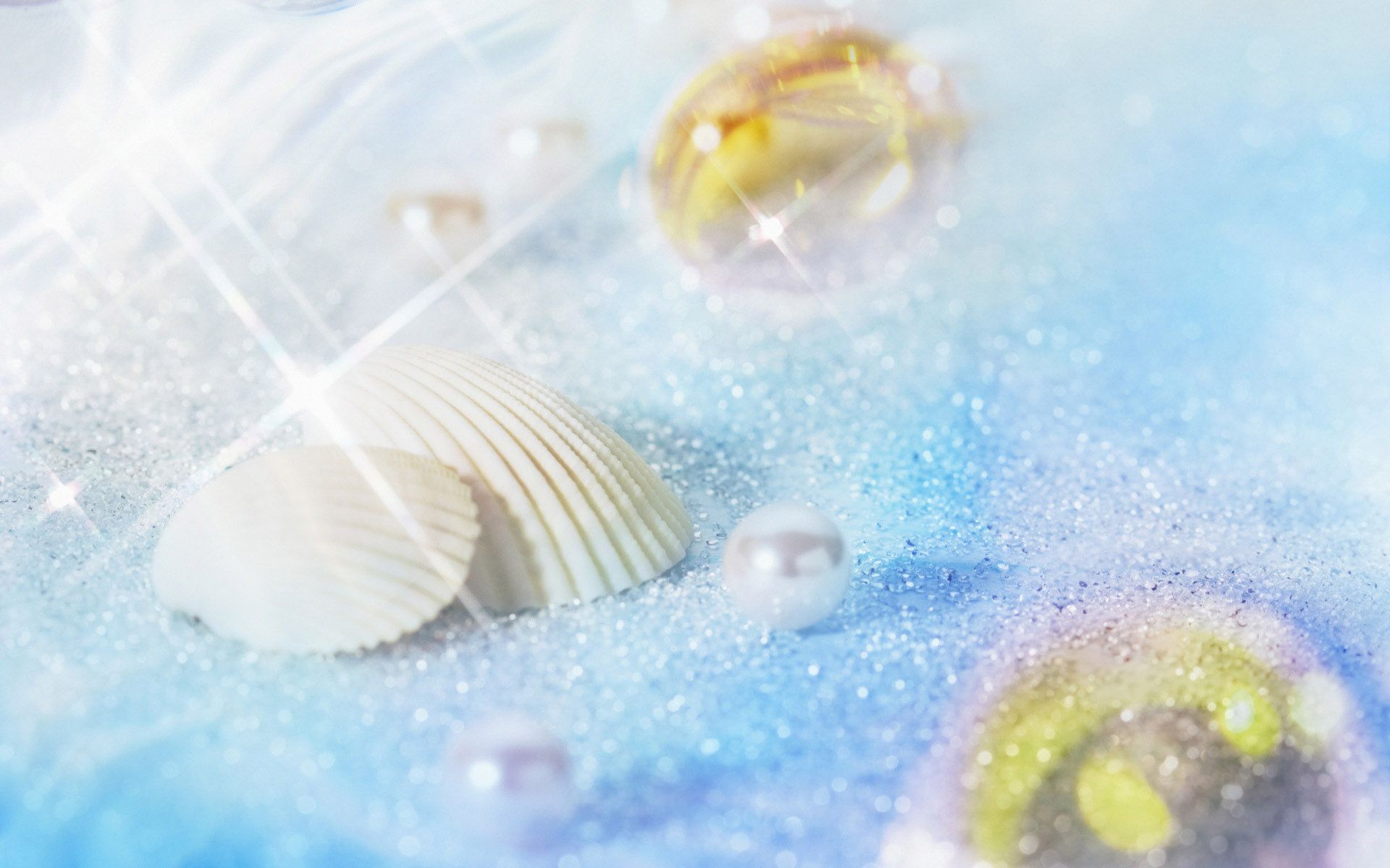 seashell, marine, bottom