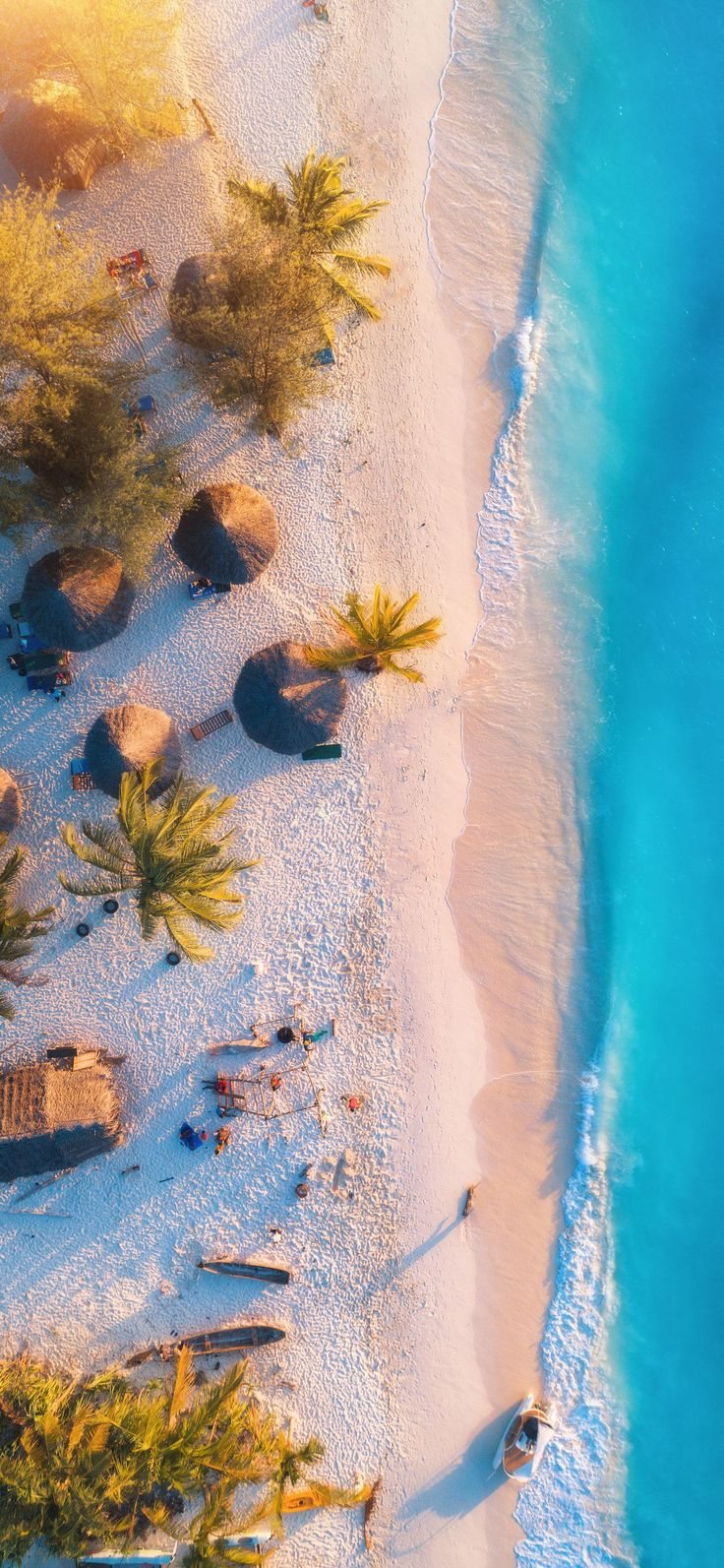вид с воздуха на пляж с пальмами и людьми на нем