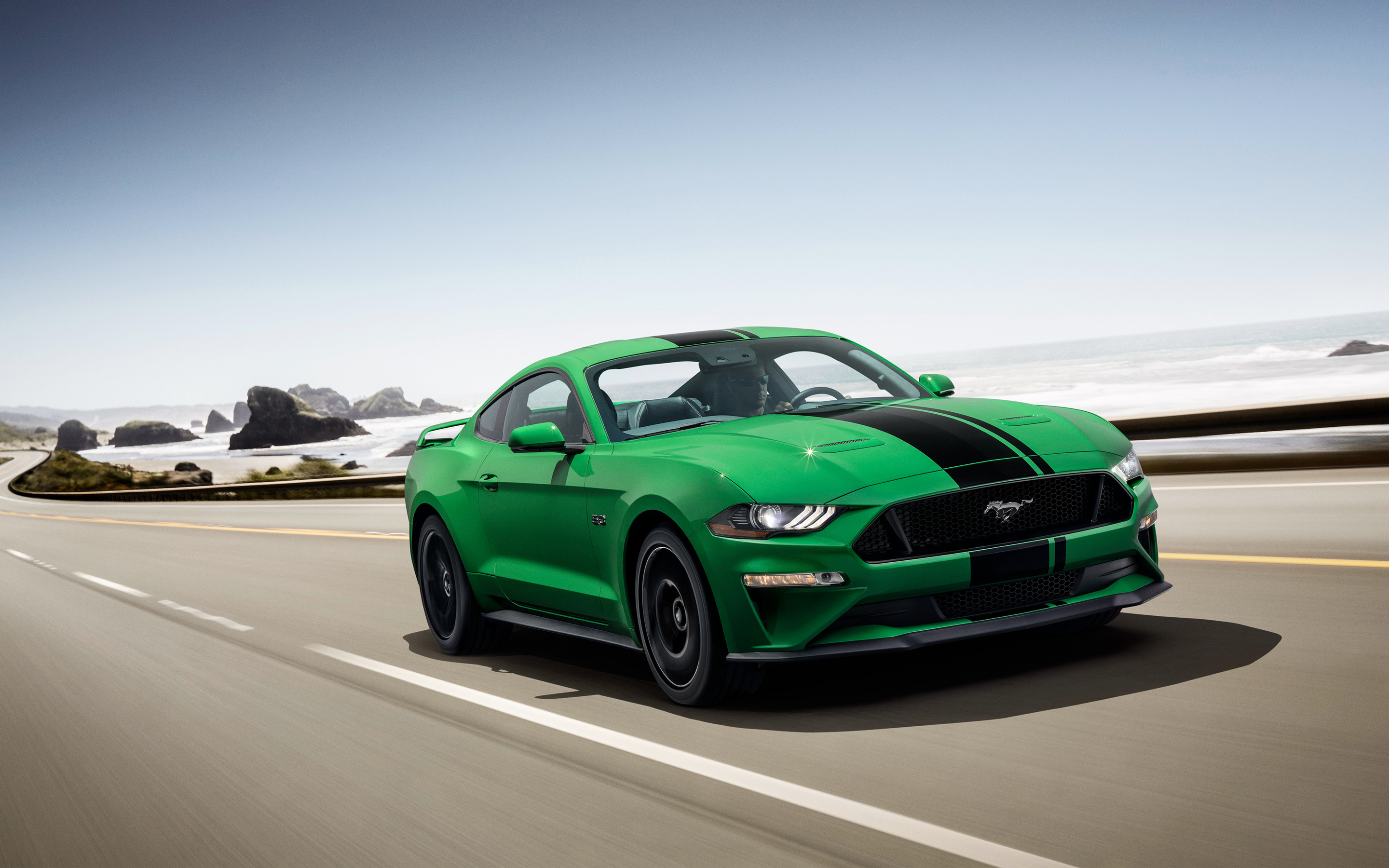 зел, mustang, need