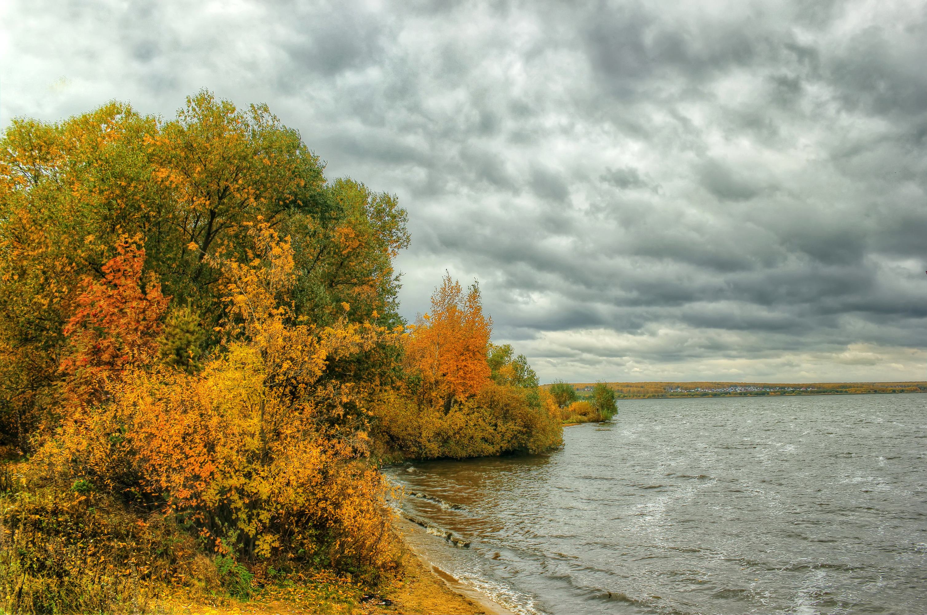 древесина, етум, структура