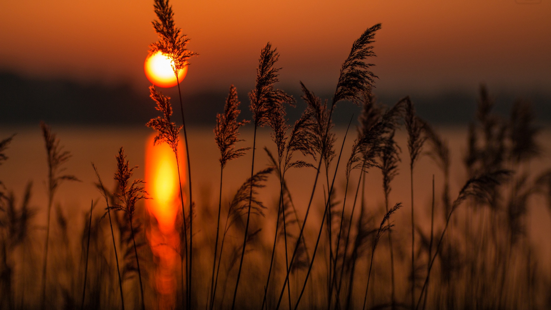 закат, силуэт, природа