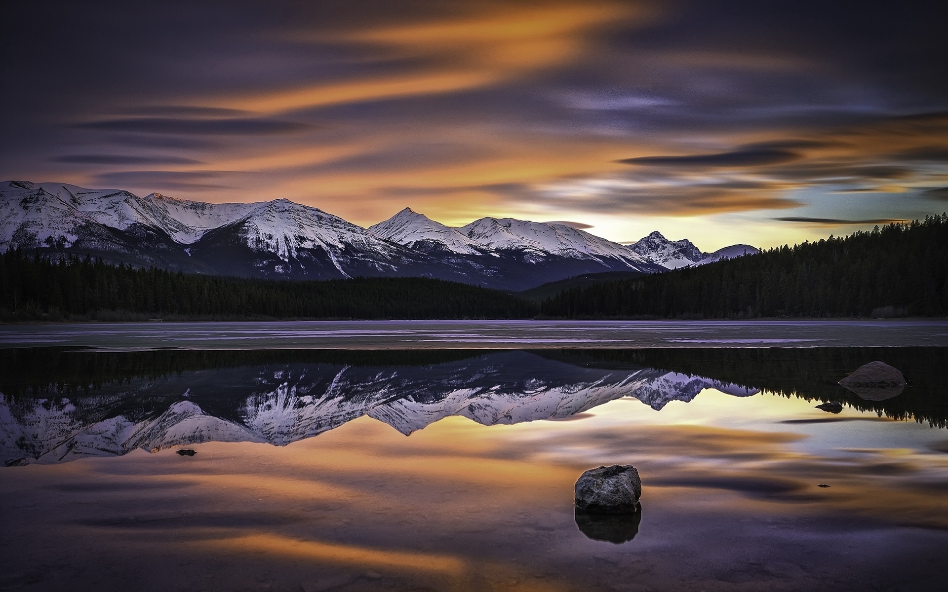 jasper, national, twitter