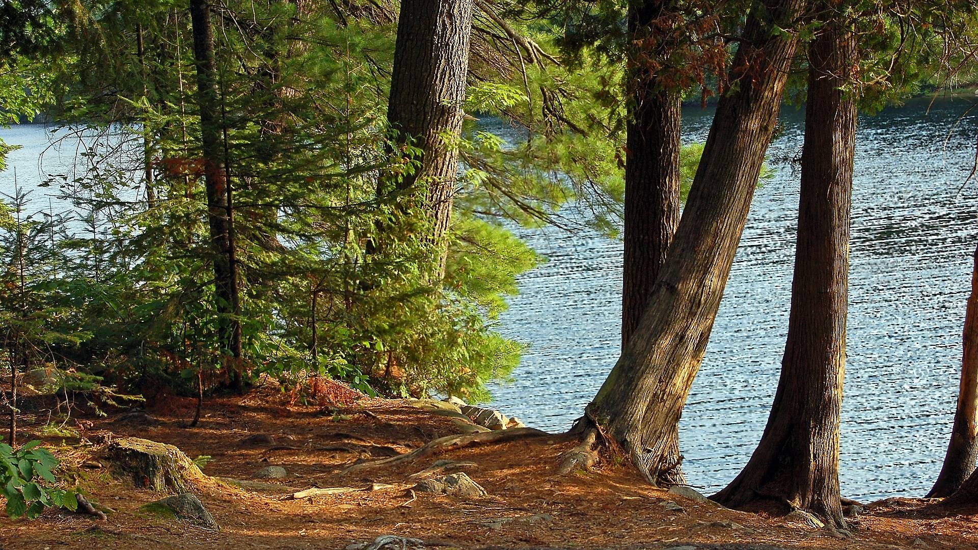 река, оир, лес