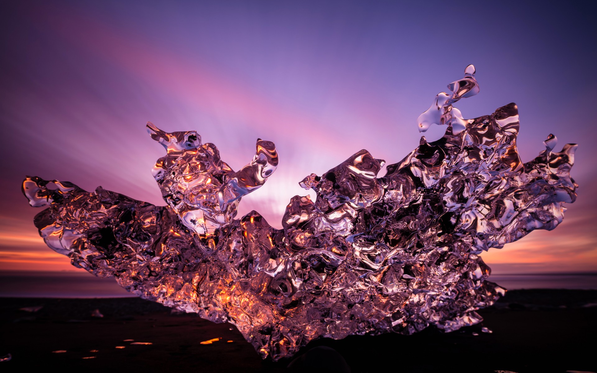 фликер, фото, морда