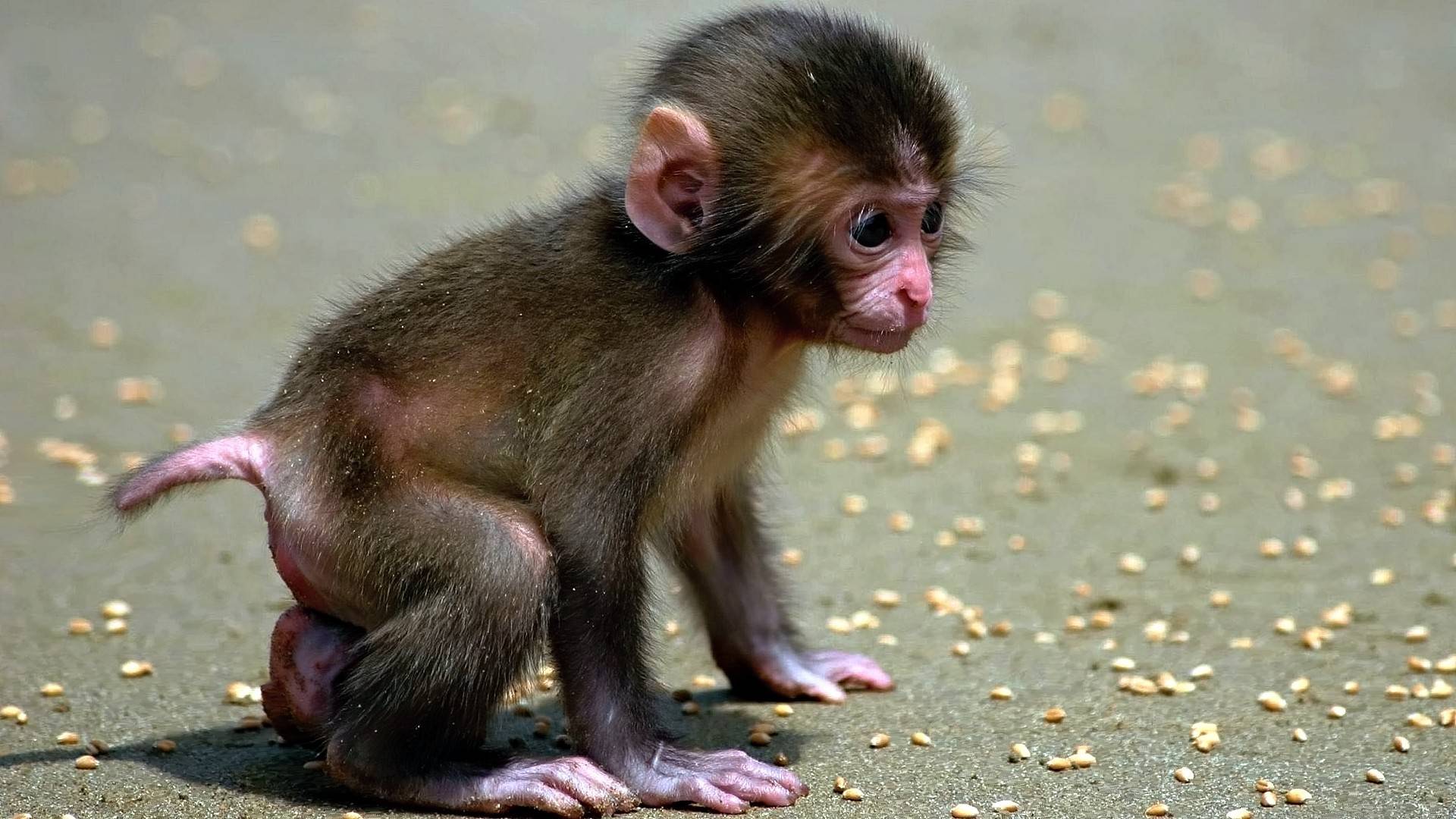 травка, фуникулер